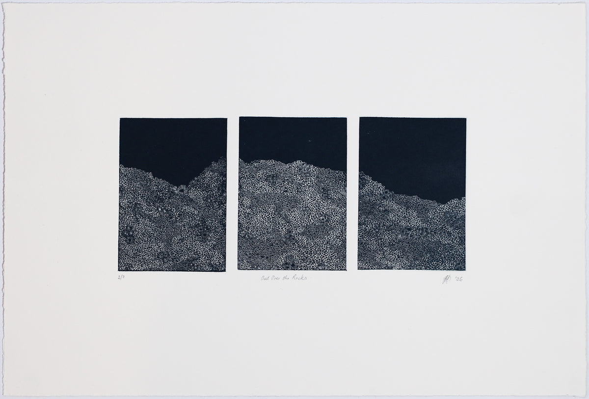 Fiona Davey | Out Over The Rocks