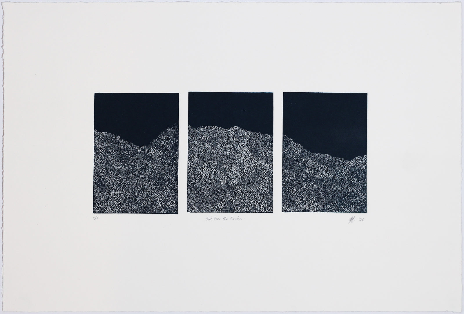 Fiona Davey | Out Over The Rocks