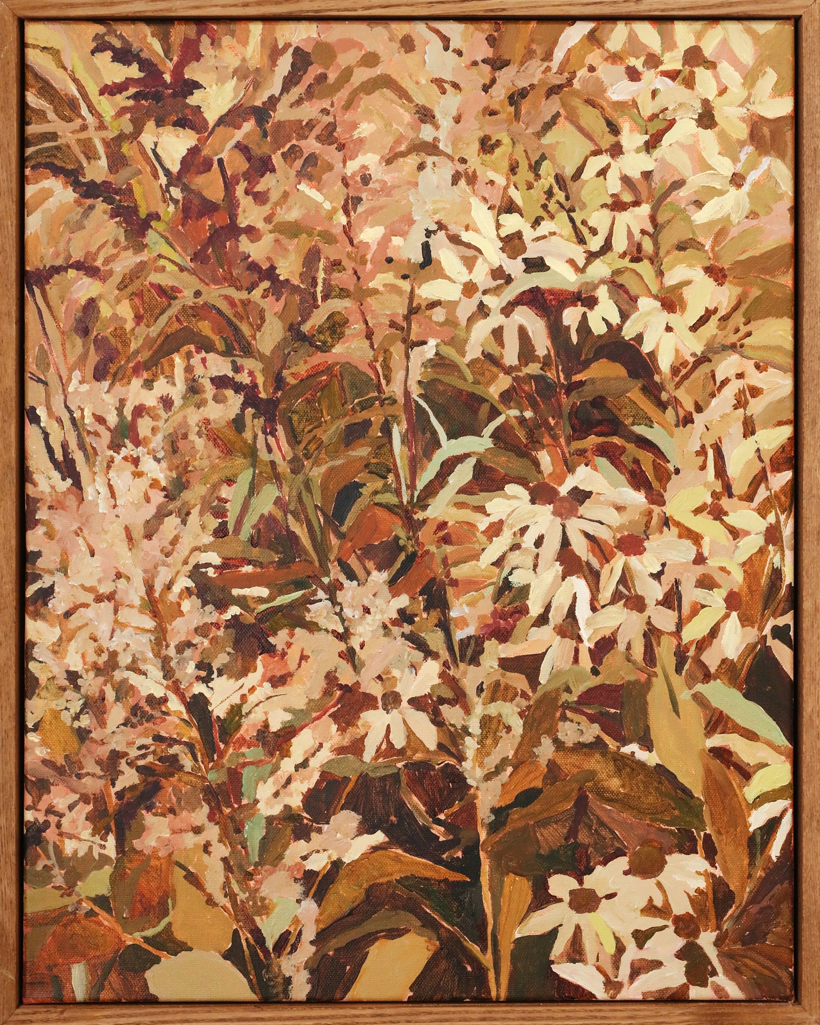 Anna Walsh | Plum Fields