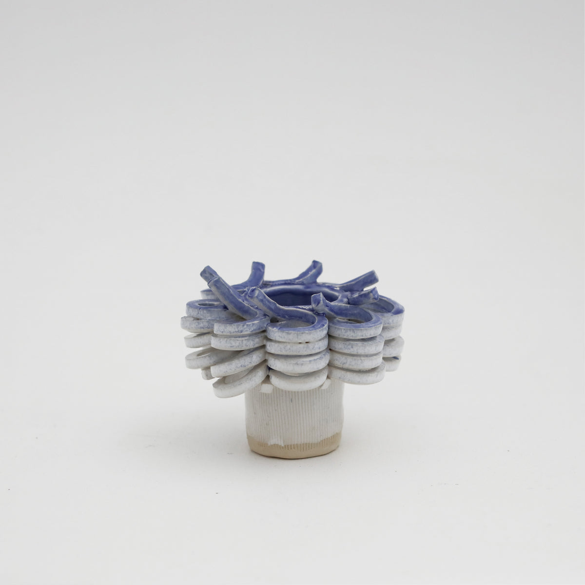 Phillip Nielsen | Pale Blue S