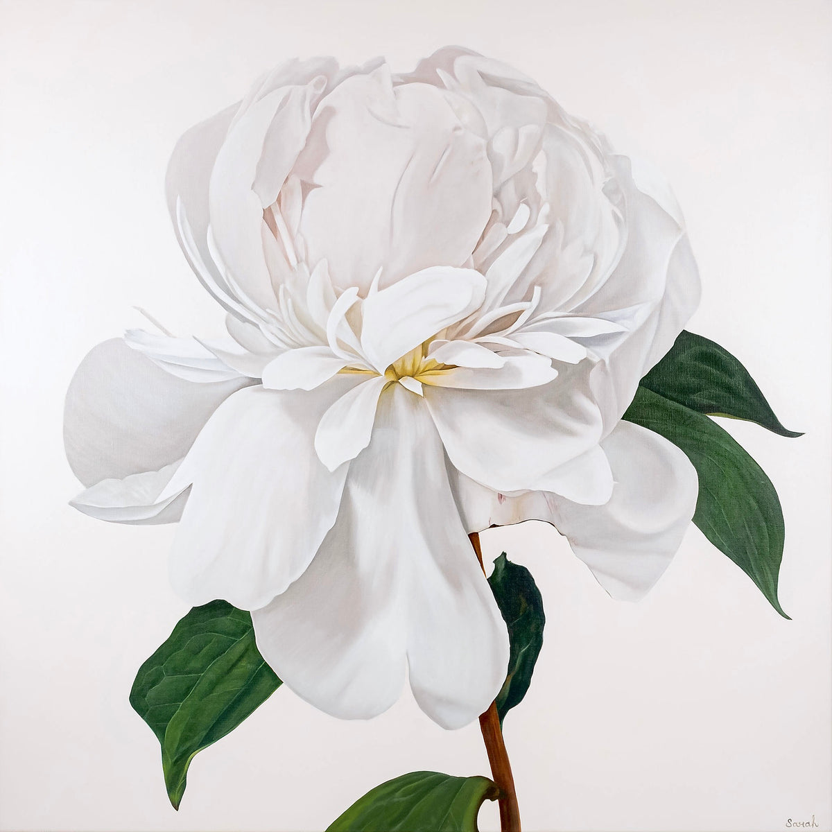 Sarah Blatchford | Penelope