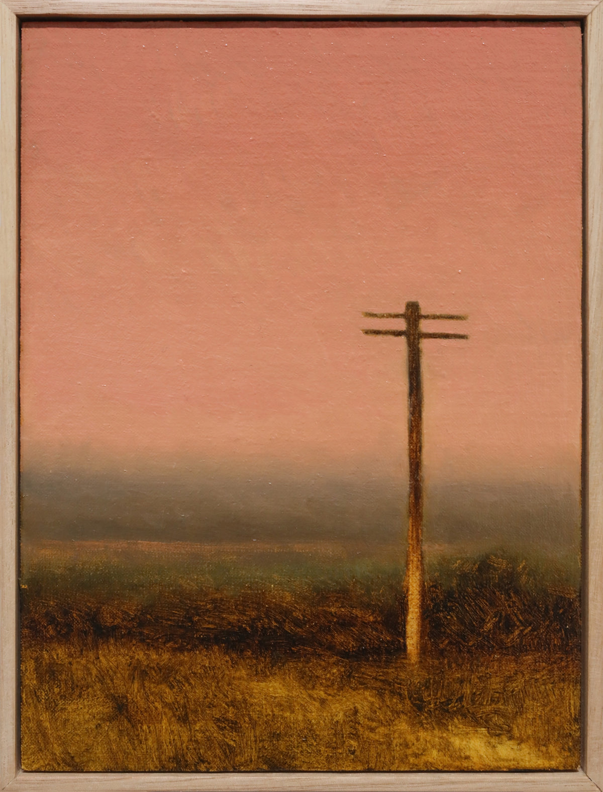 James Riches | Pink Sky Study 0126