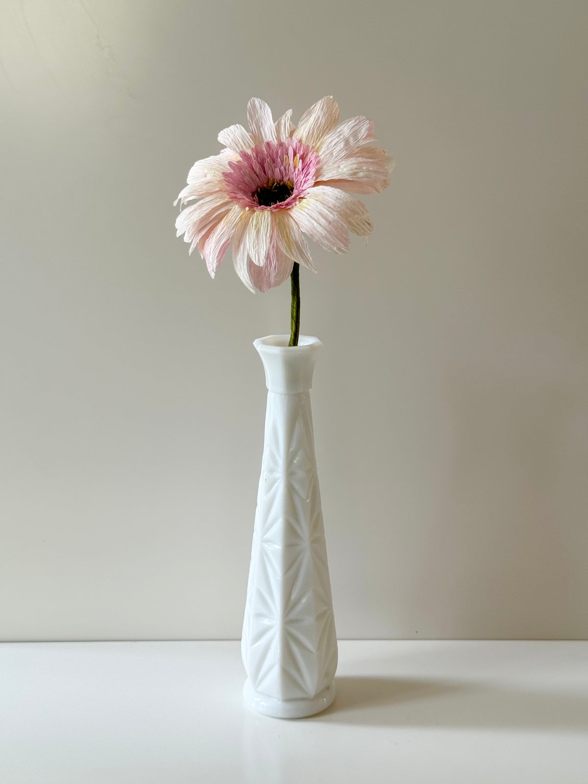 Leesa Cowan | Pink Gerbera Flower
