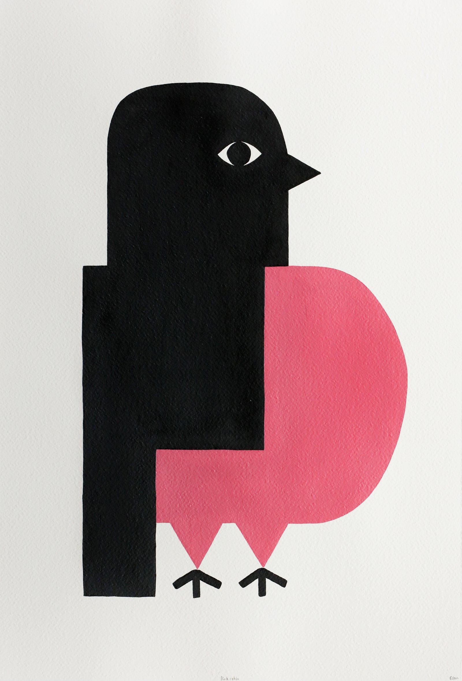 Edan Azzopardi | Pink Robin
