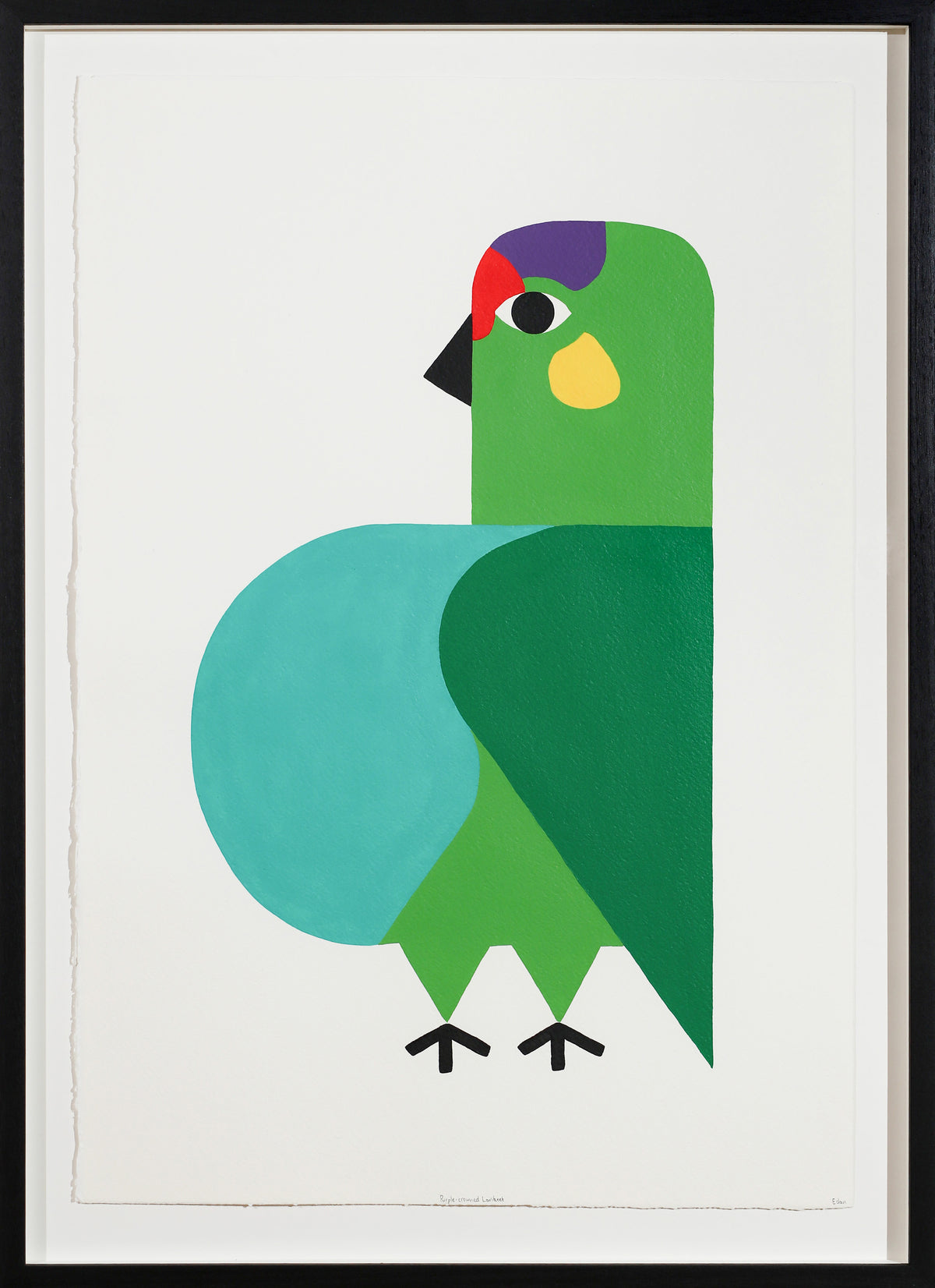 Edan Azzopardi | Purple crowned lorikeet