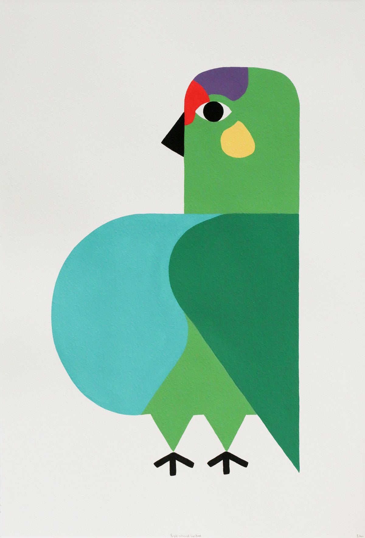 Edan Azzopardi | Purple crowned lorikeet