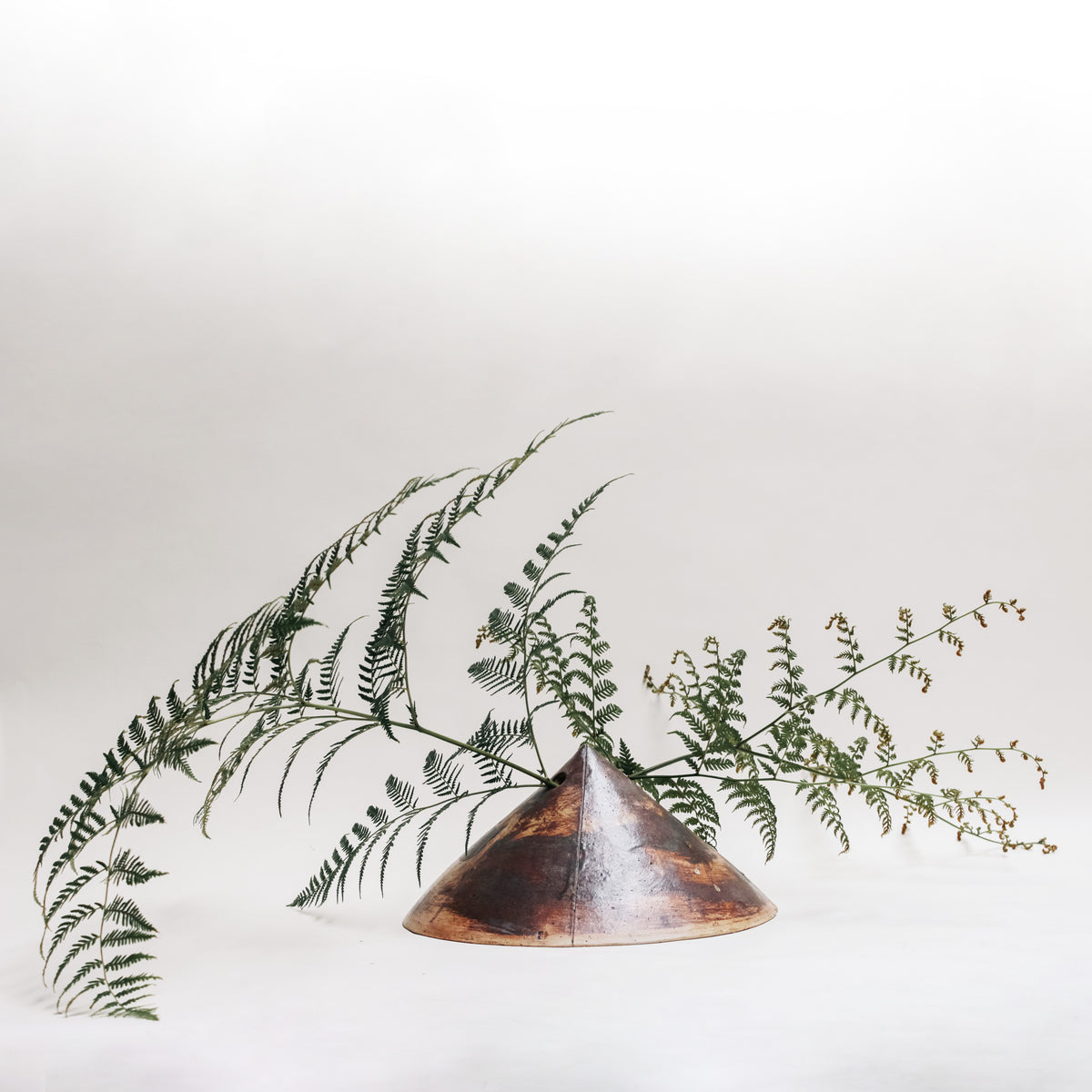Rachelle Austen | Sensus ~ Cini Conum