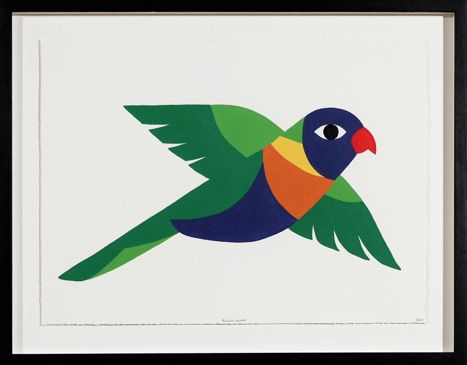 Edan Azzopardi | Rainbow lorikeet - Flying