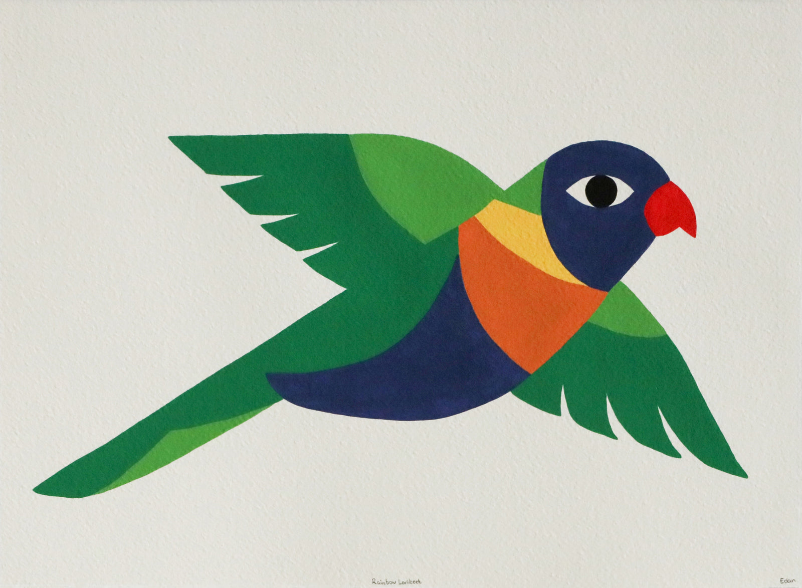 Edan Azzopardi | Rainbow lorikeet - Flying