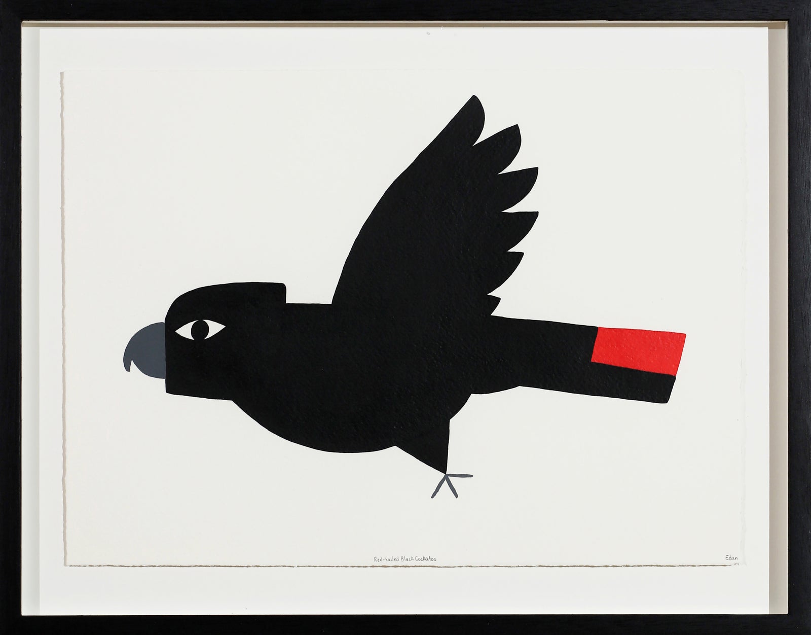 Edan Azzopardi | Red-tailed black cockatoo - Flying