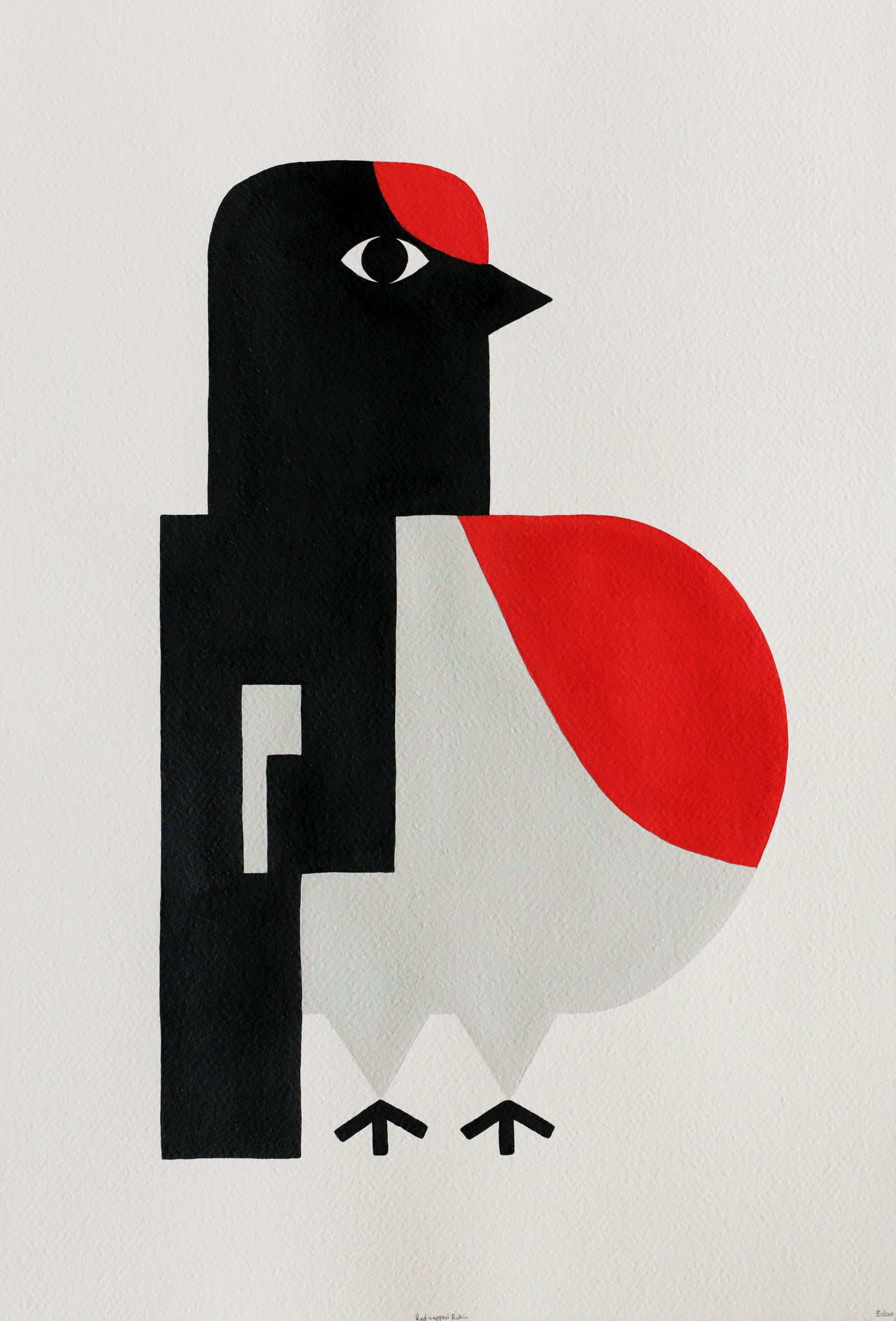 Edan Azzopardi | Red capped robin