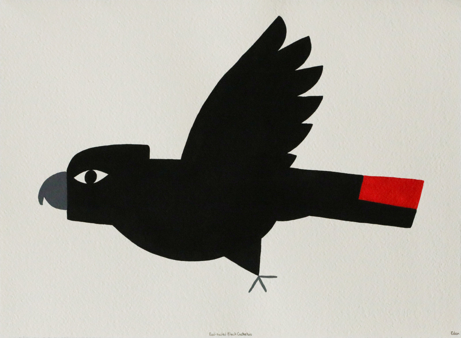 Edan Azzopardi | Red-tailed black cockatoo - Flying