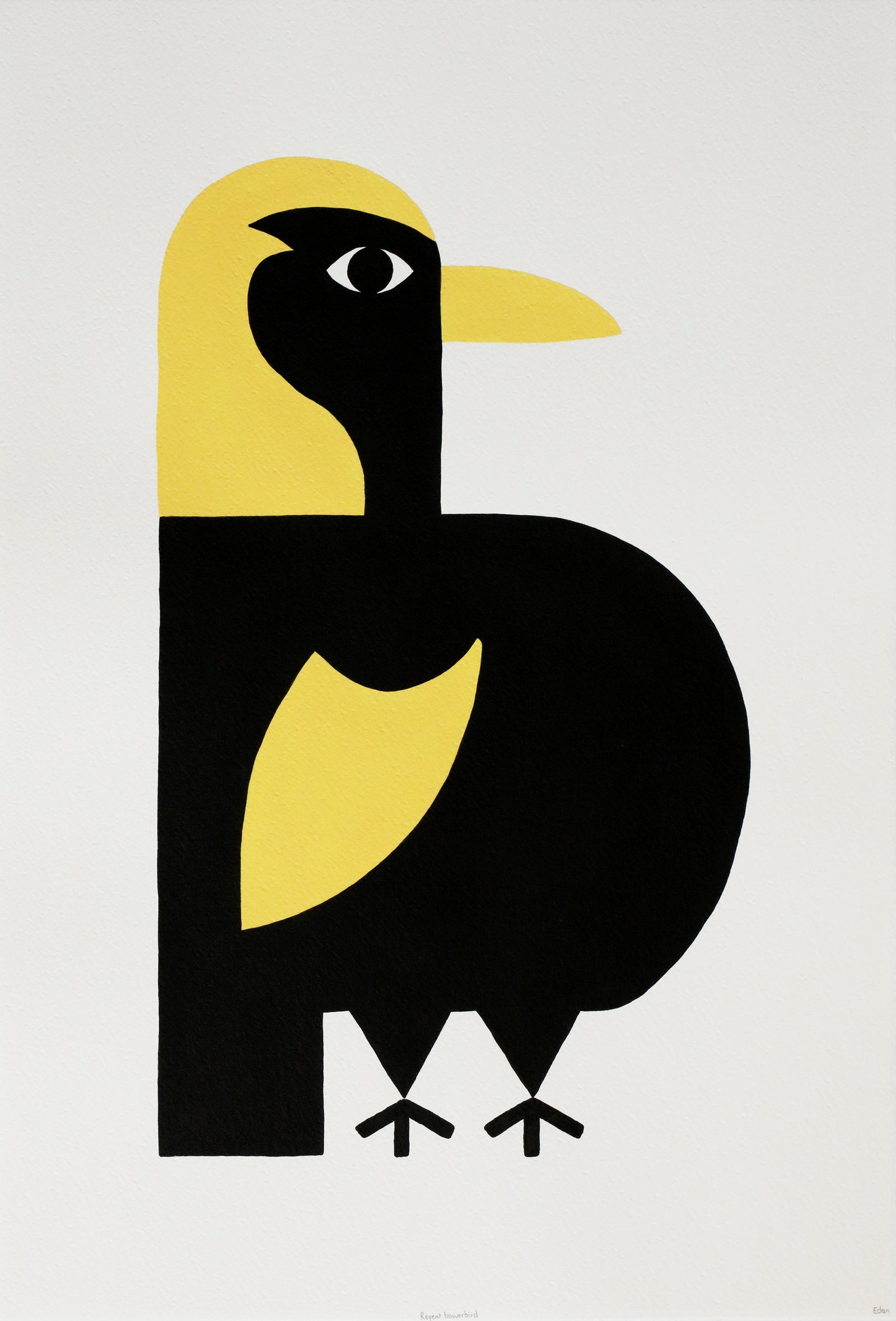 Edan Azzopardi | Regent bowerbird
