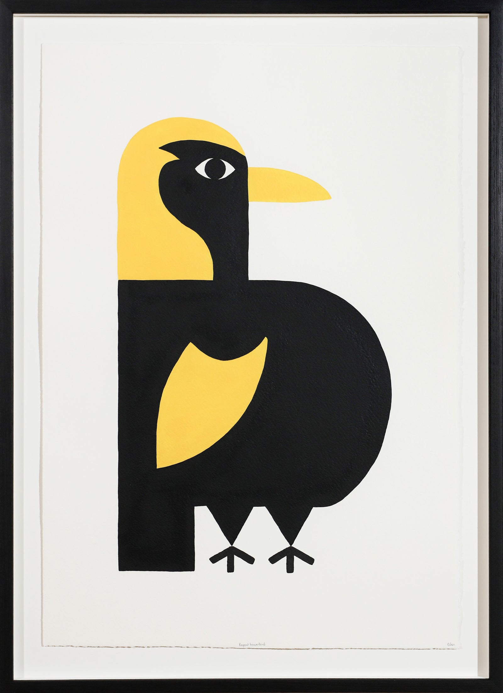 Edan Azzopardi | Regent bowerbird