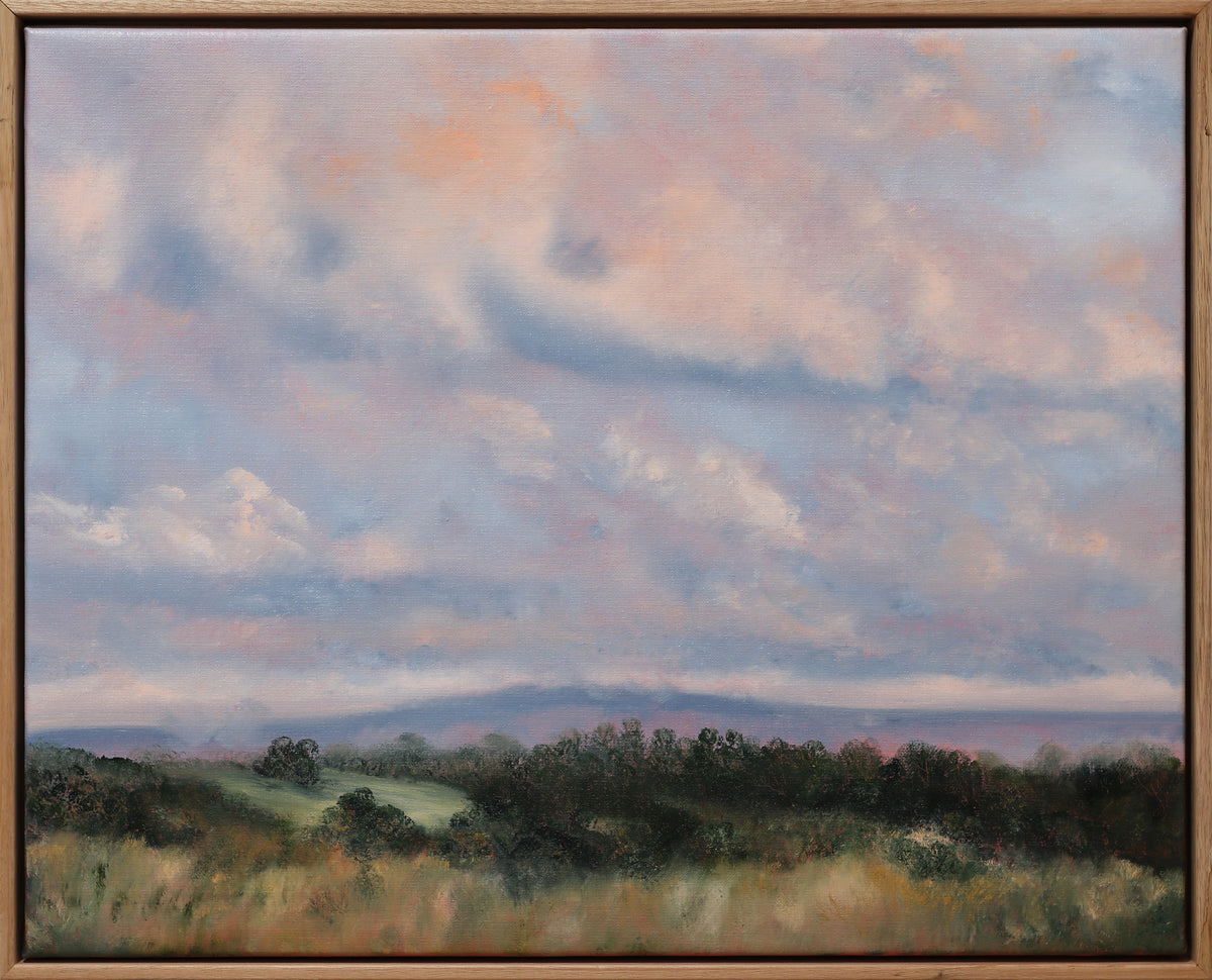 Allison Taplin | Rhapsody