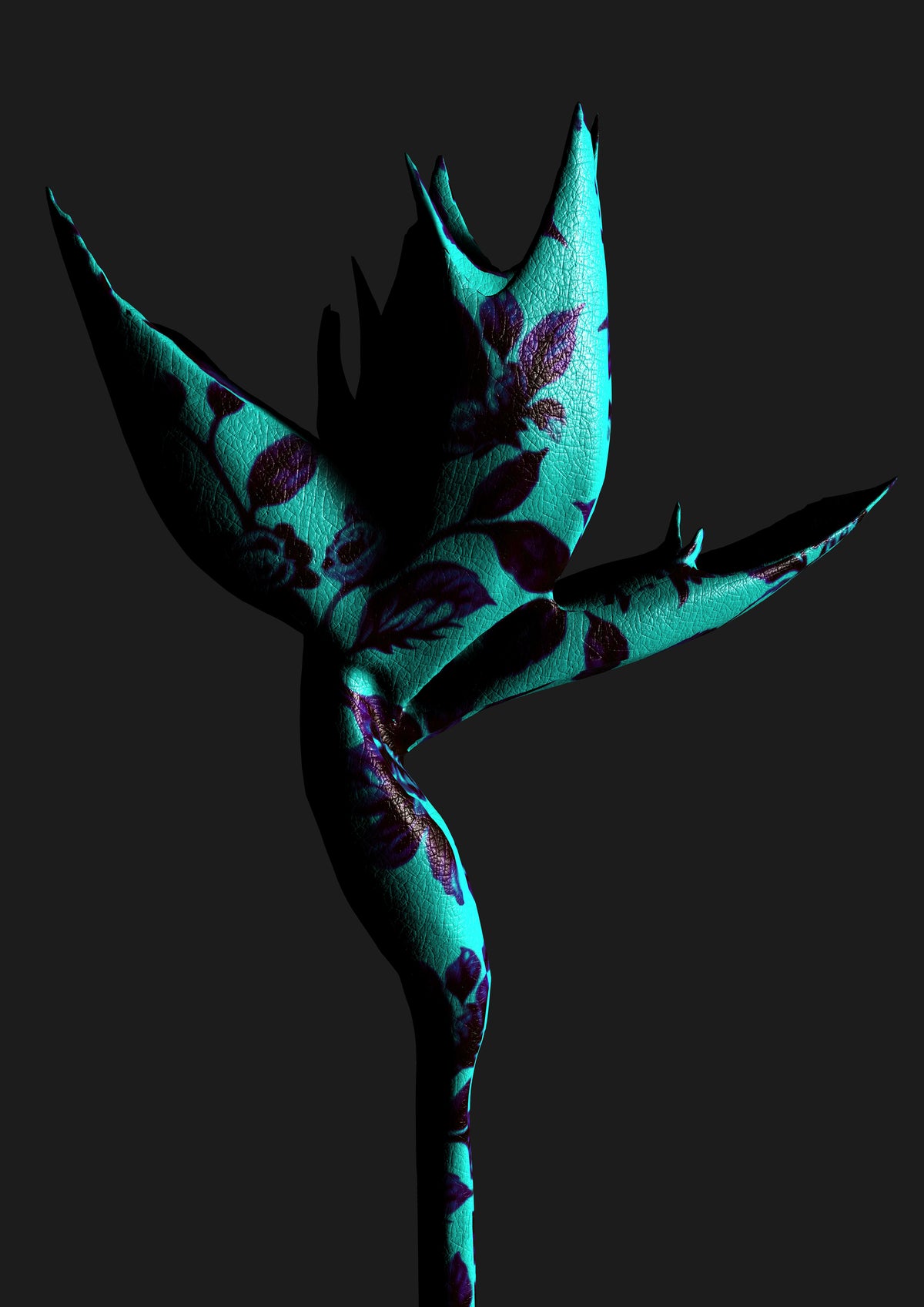 Richard McCoy | BIRD OF PARADISE