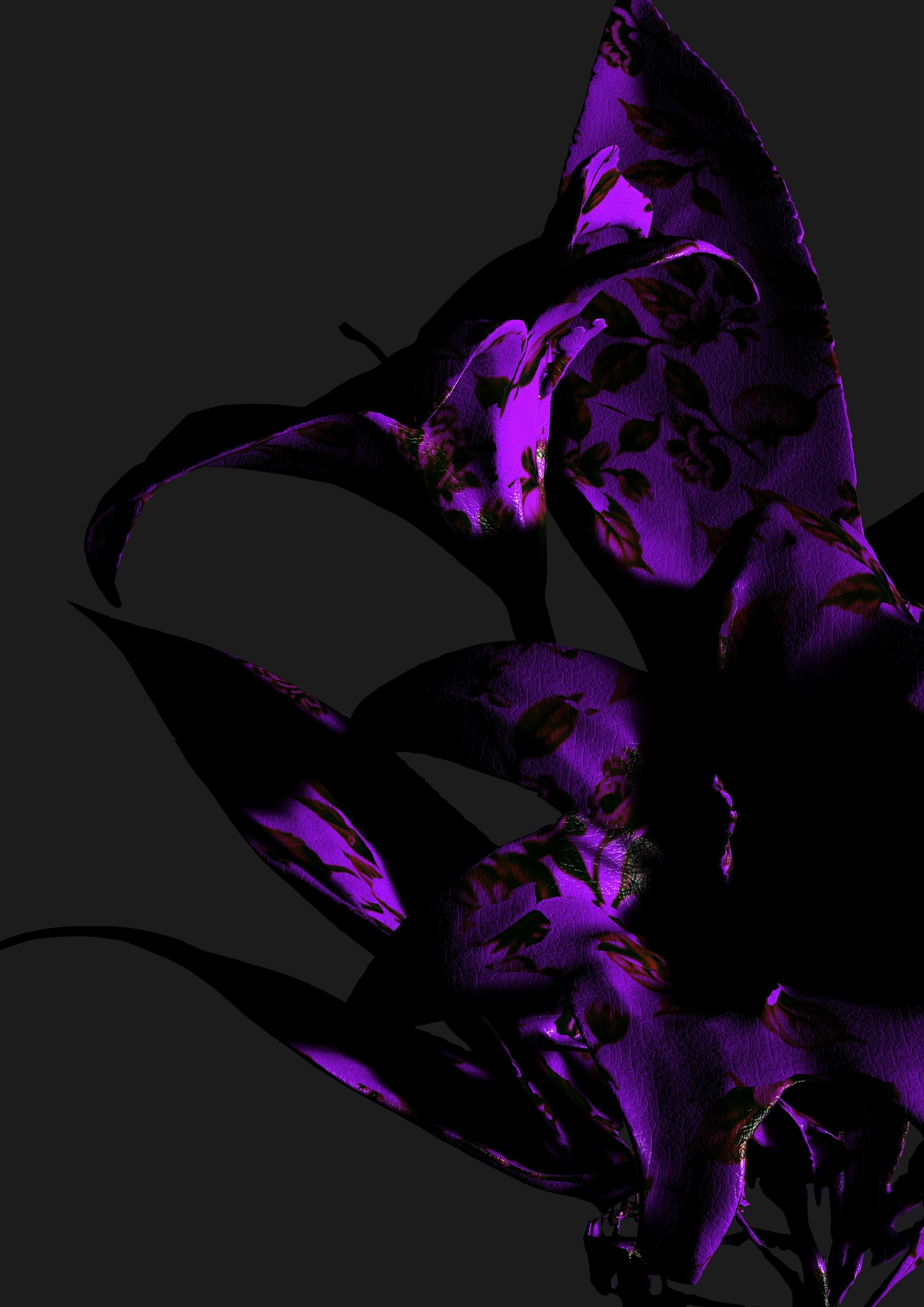 Richard McCoy | LILLIES