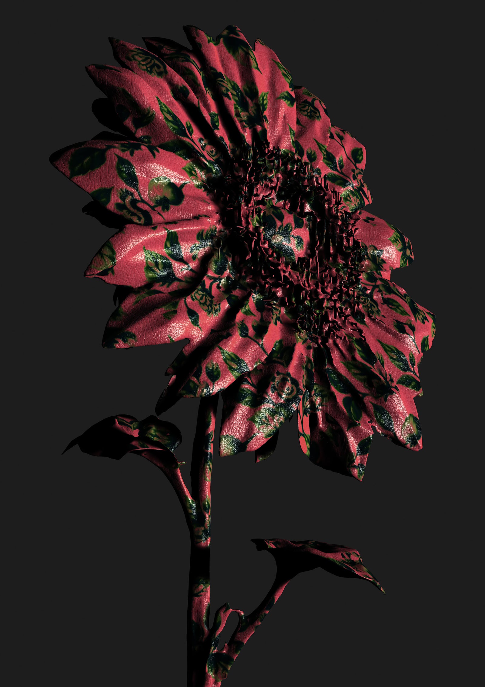 Richard McCoy | SUNFLOWER