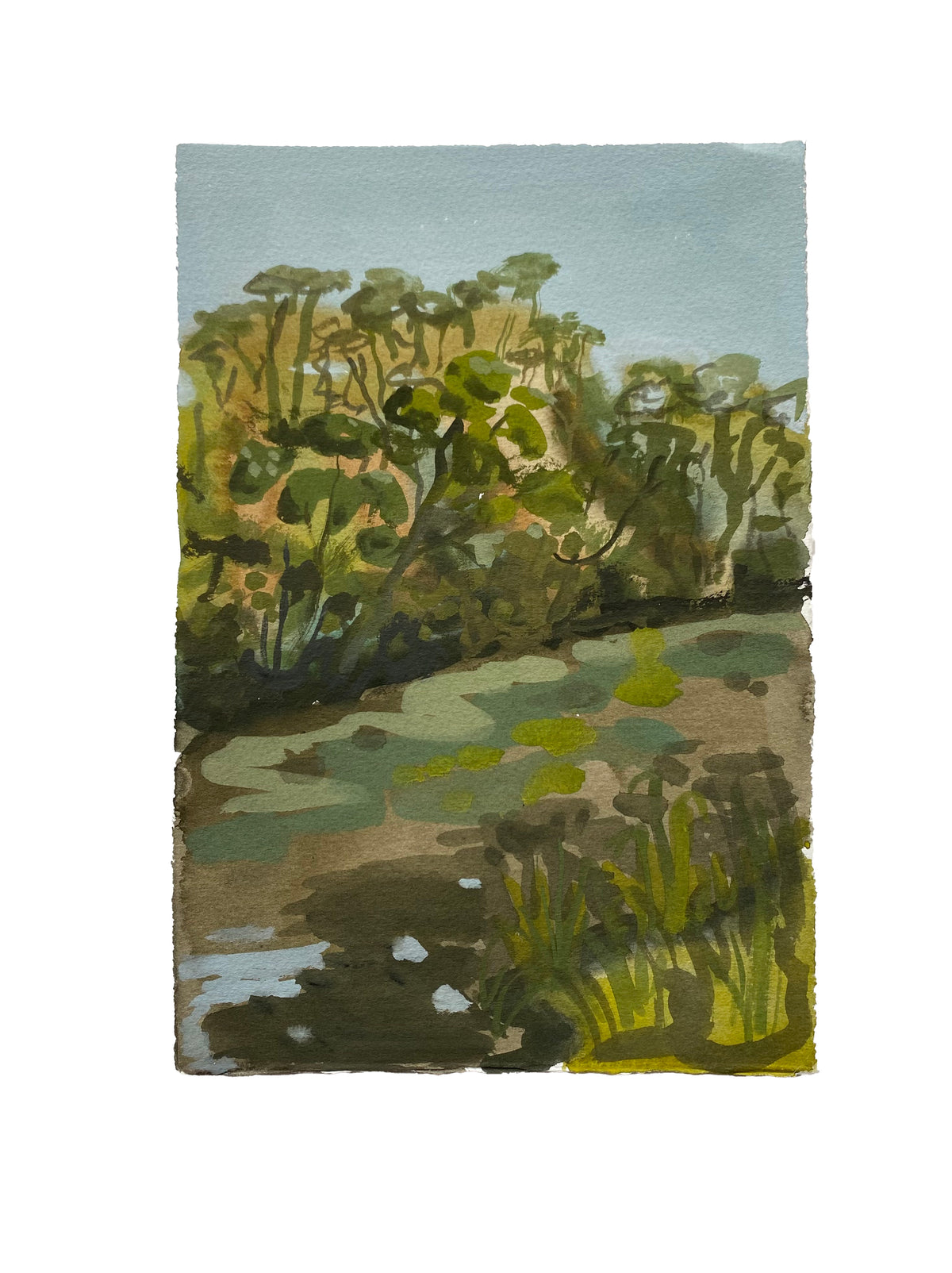 Maddie Sewall | Riverbank