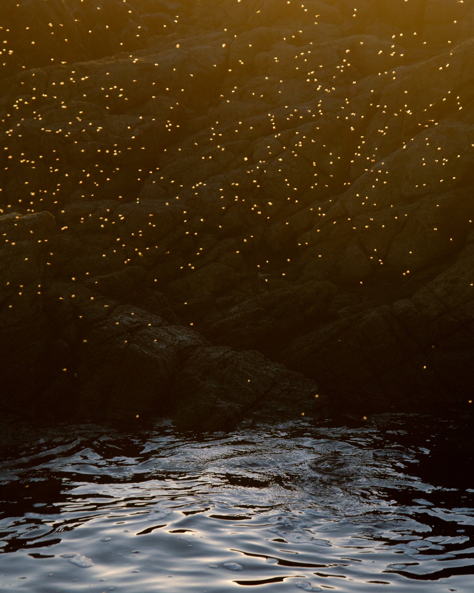 Ryan North | Rockpool
