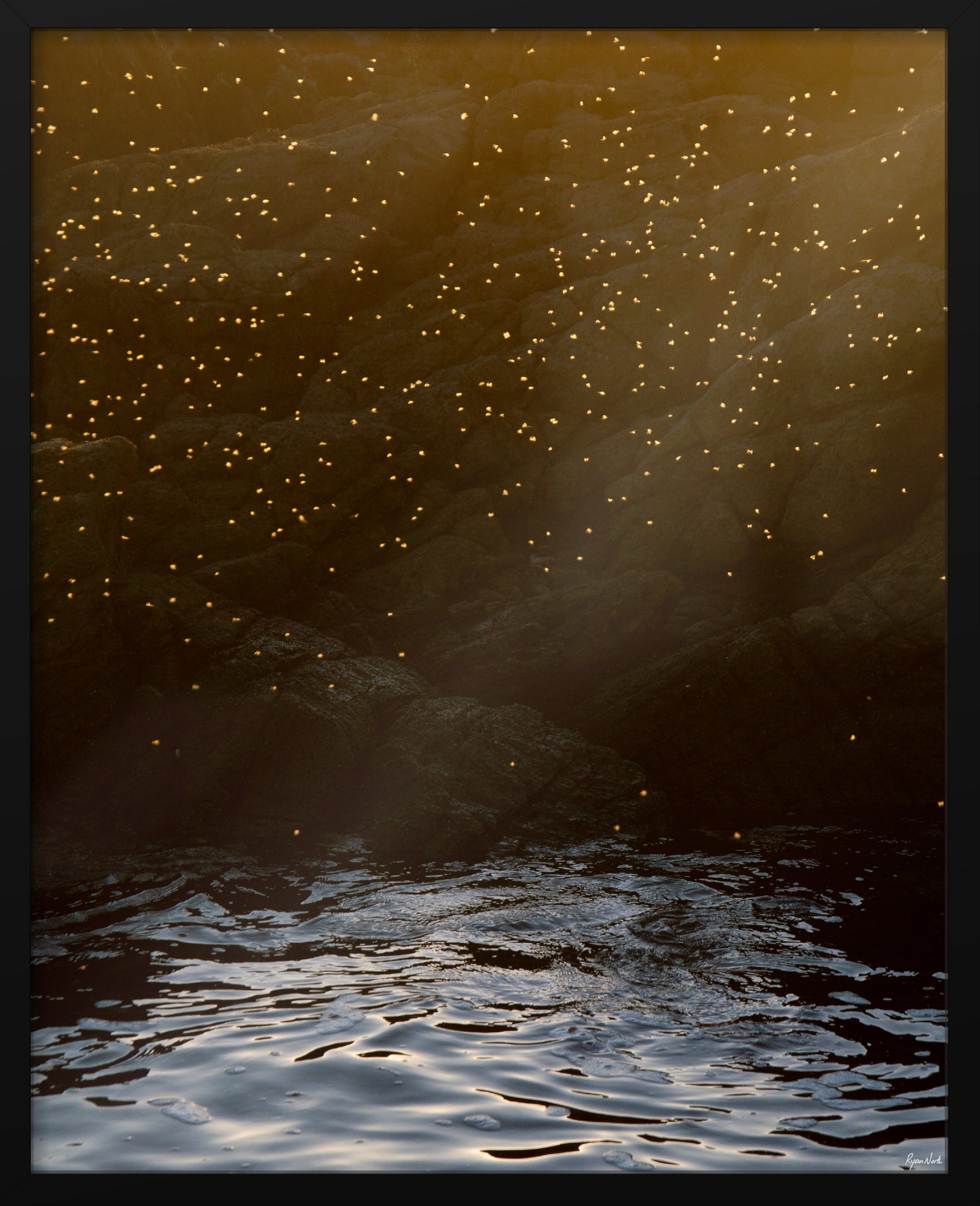 Ryan North | Rockpool