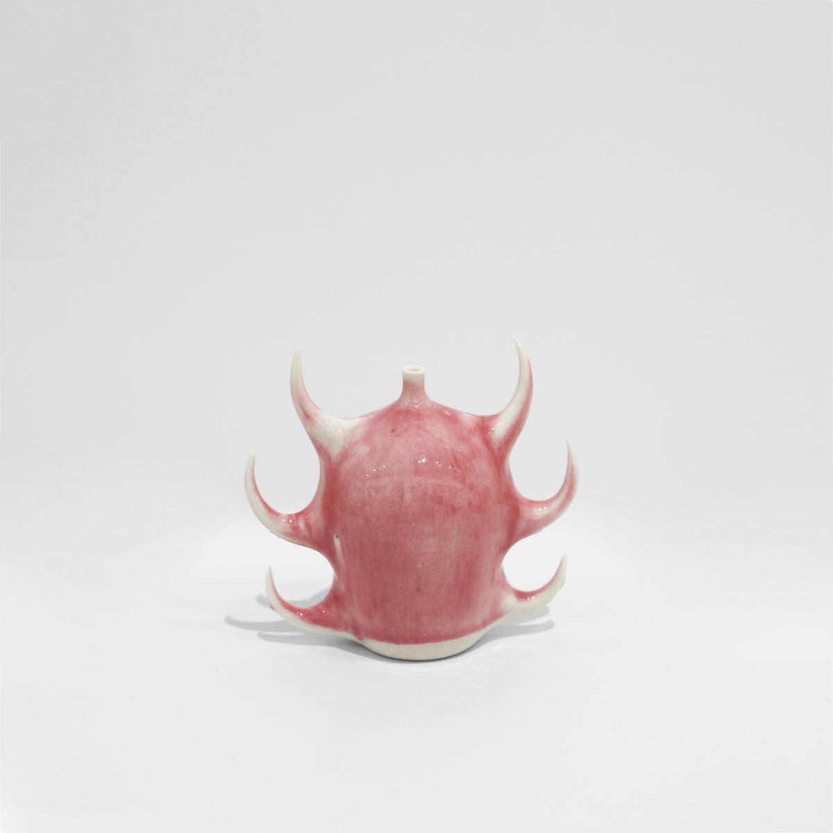 Lauren Cameron | Root