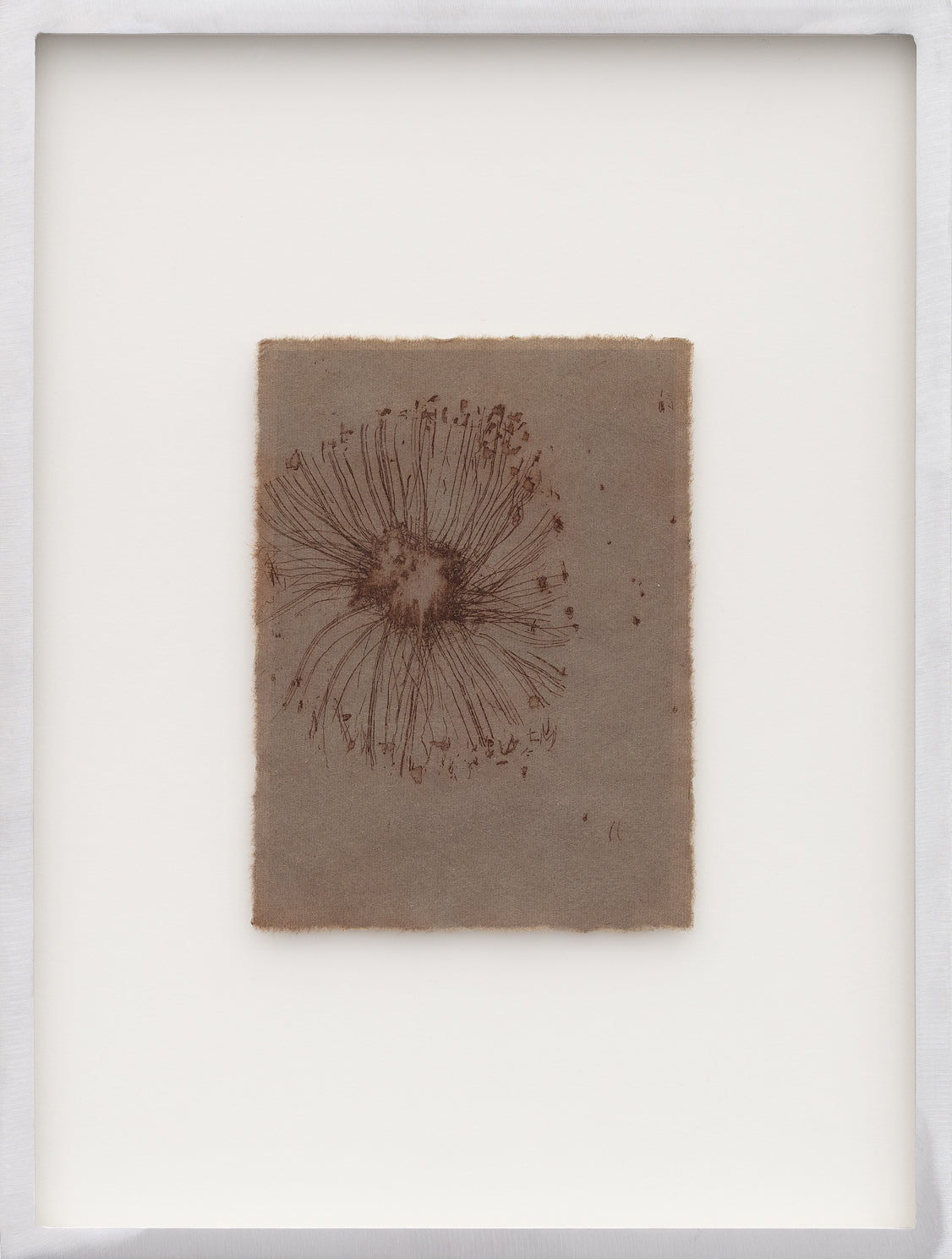 Cecilia Jacobs | Rusty Skip I