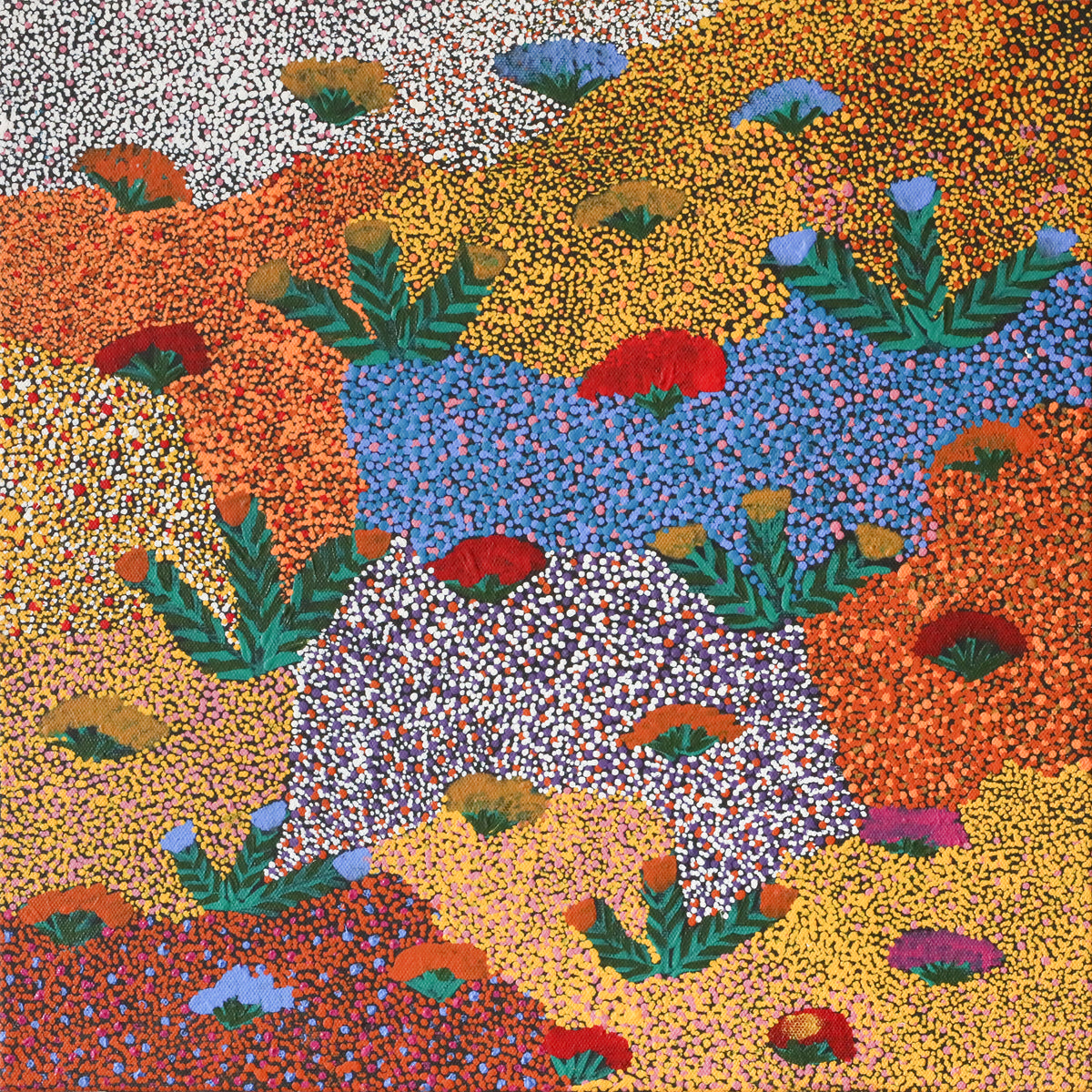Sandra Pula Teece | Bush Medicine Plants 401-25