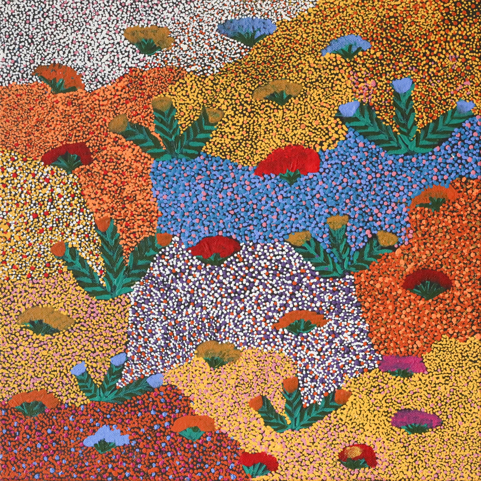 Sandra Pula Teece | Bush Medicine Plants 401-25