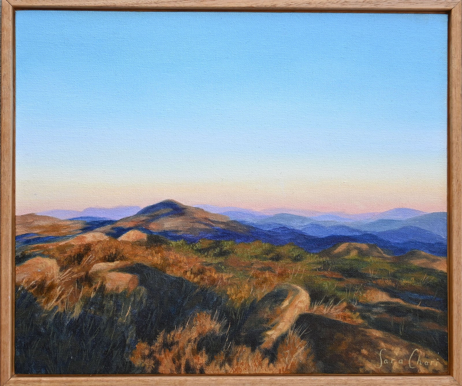 Sara Chari | Alpine light
