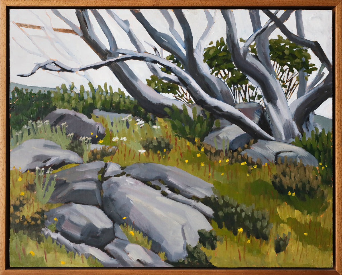 Sarah Low | Windy Knoll, Pretty Valley