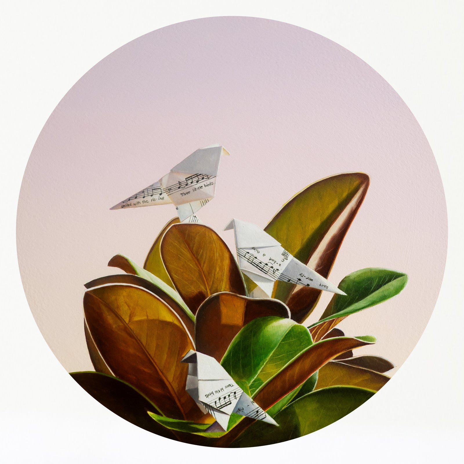 Sarah Park | Three Little Birds