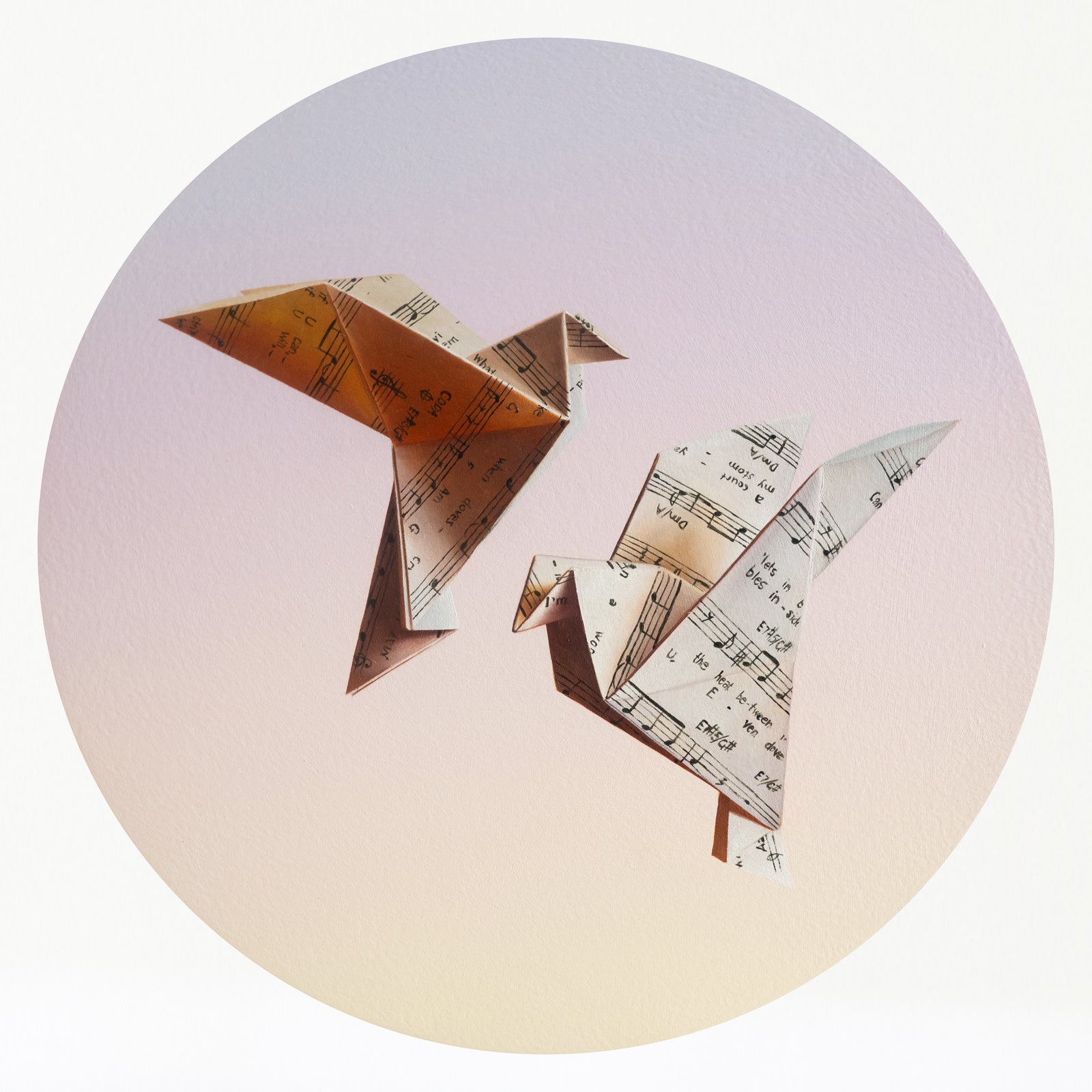 Sarah Park | When Doves Cry