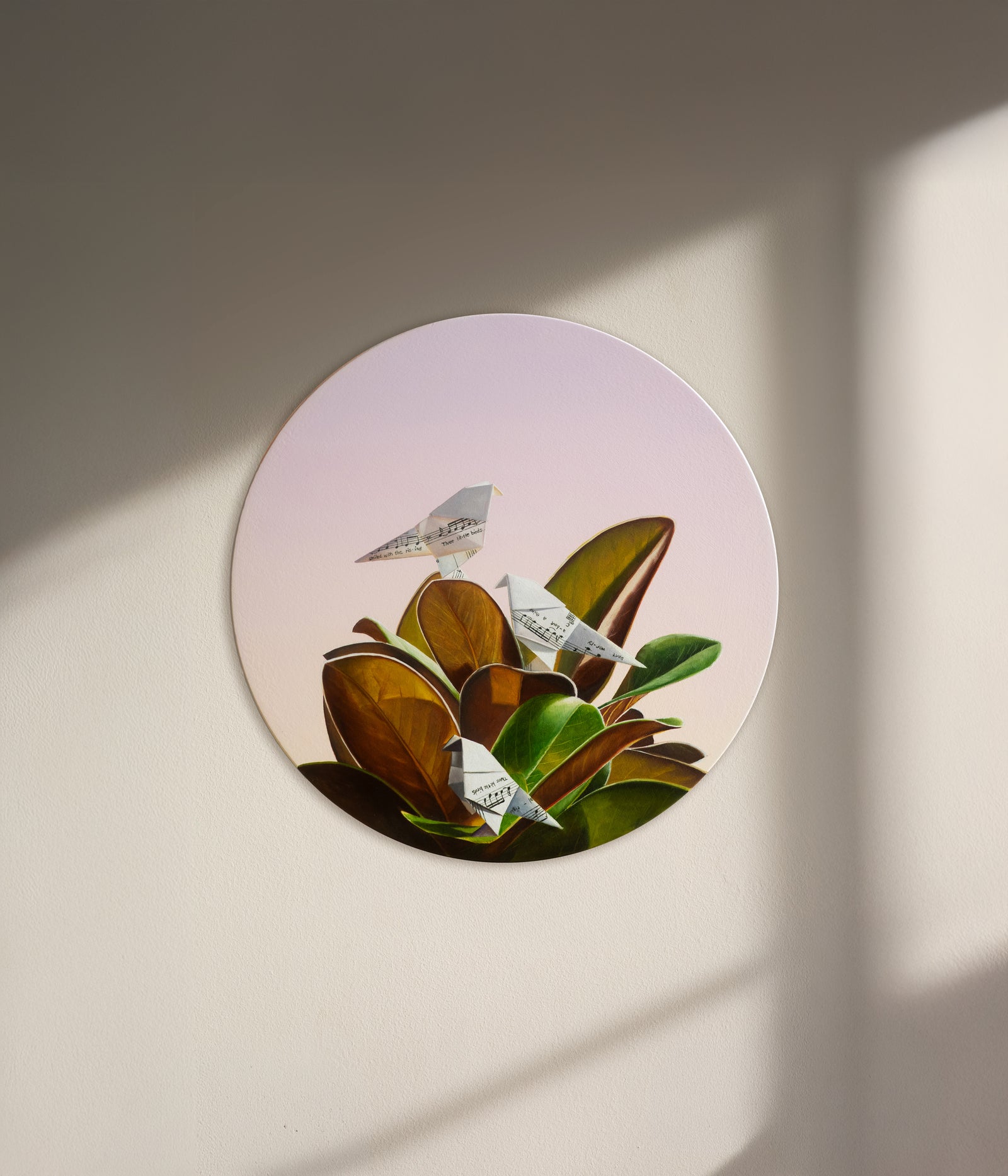 Sarah Park | Three Little Birds
