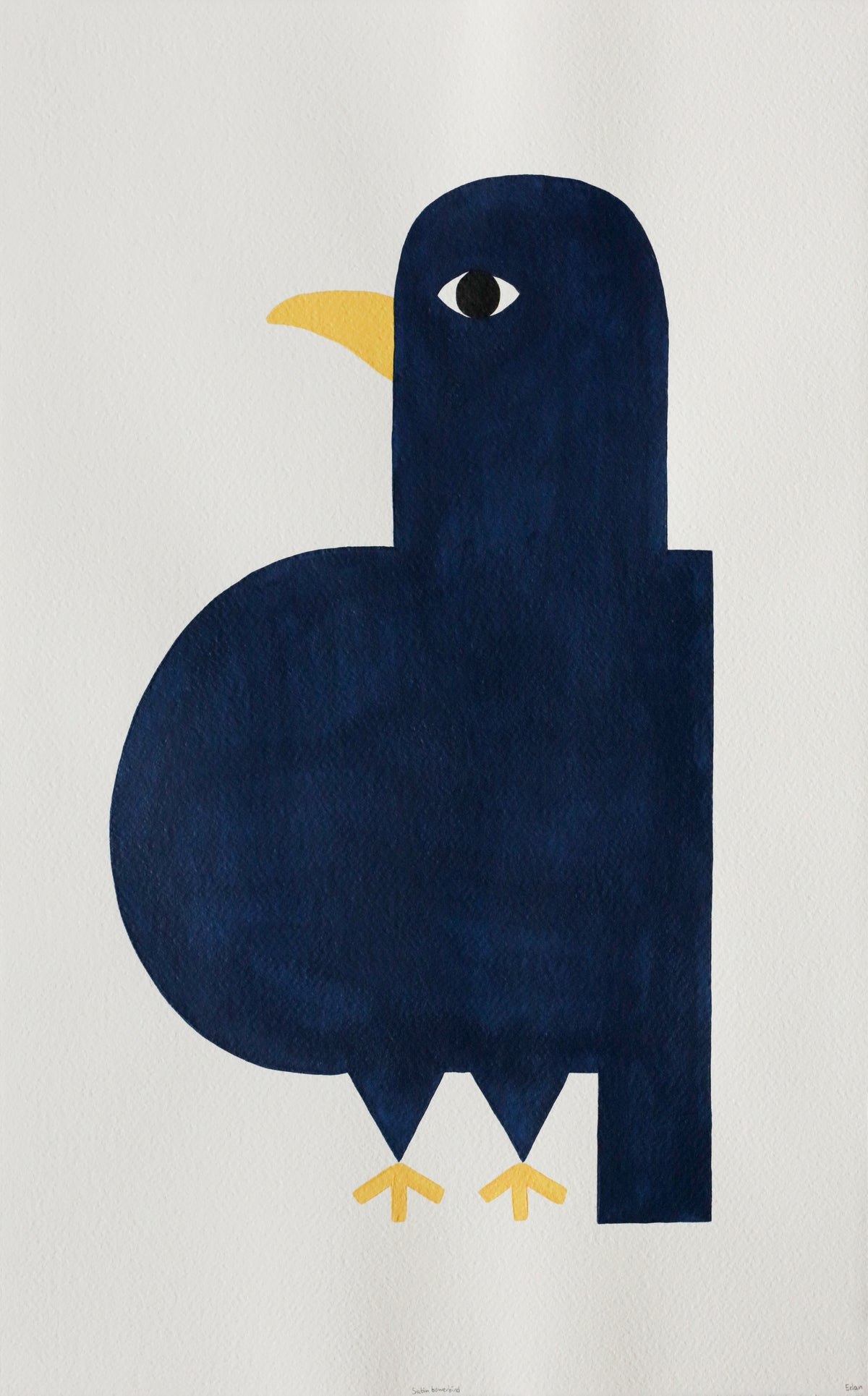 Edan Azzopardi | Satin bowerbird
