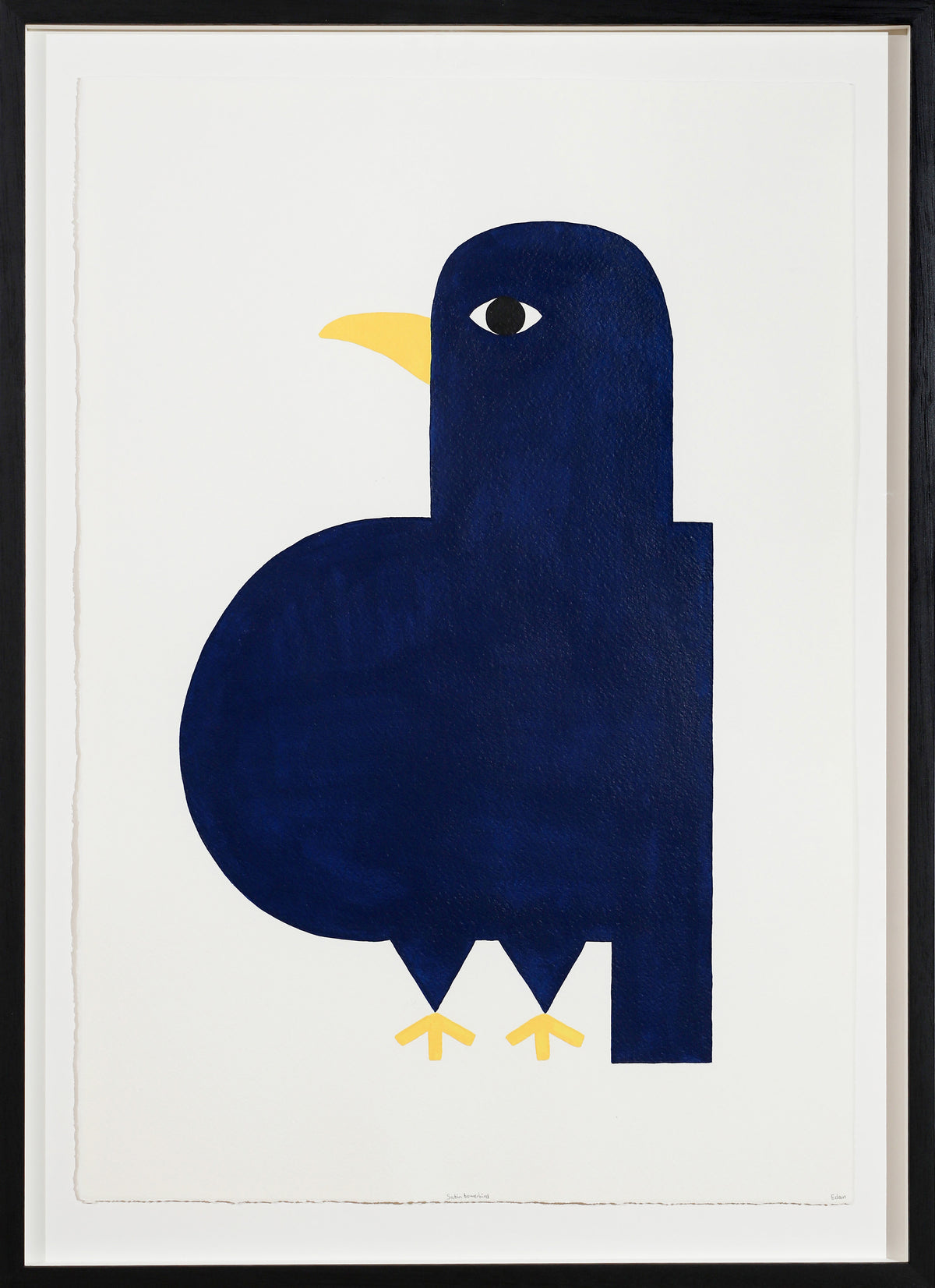 Edan Azzopardi | Satin bowerbird