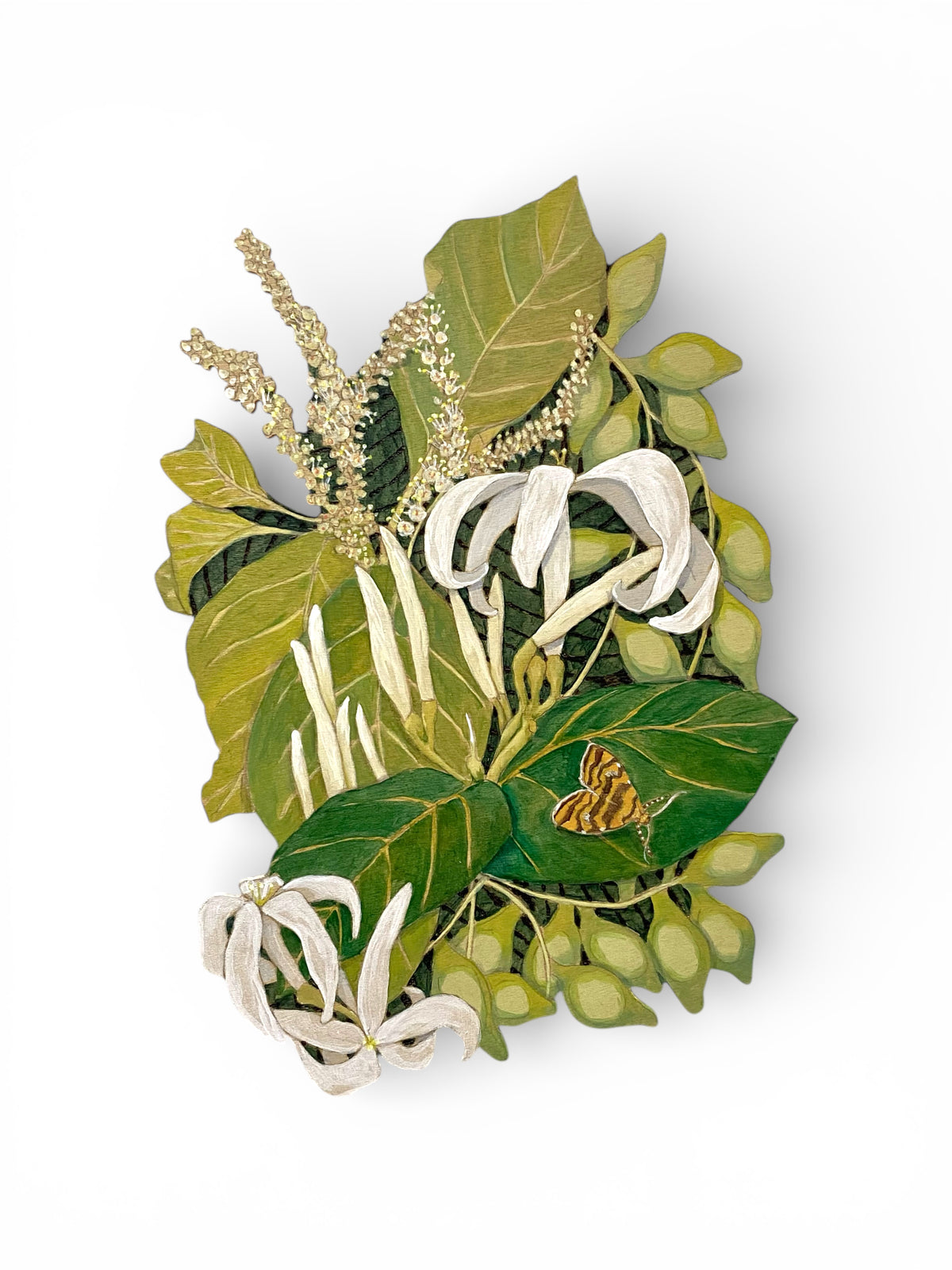 Sonia Martignon | Scatter