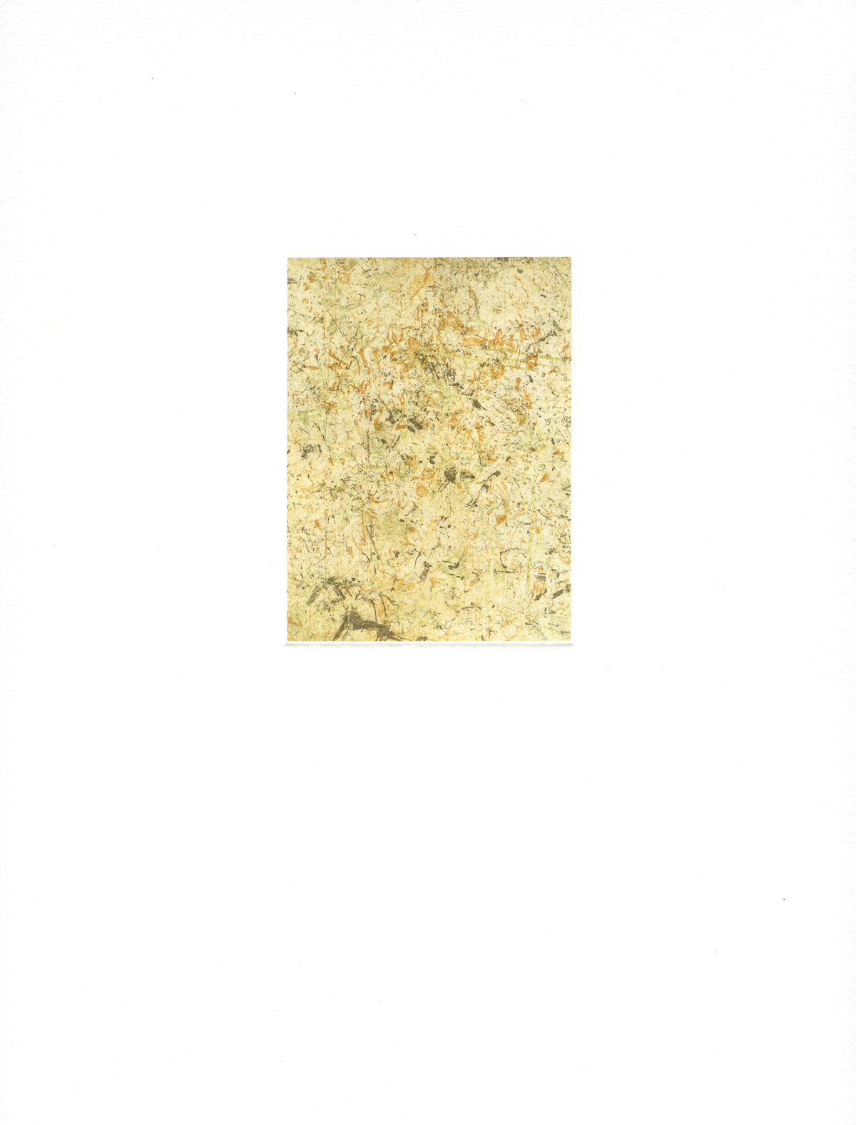 Fiona Davey | Seaford Reserve