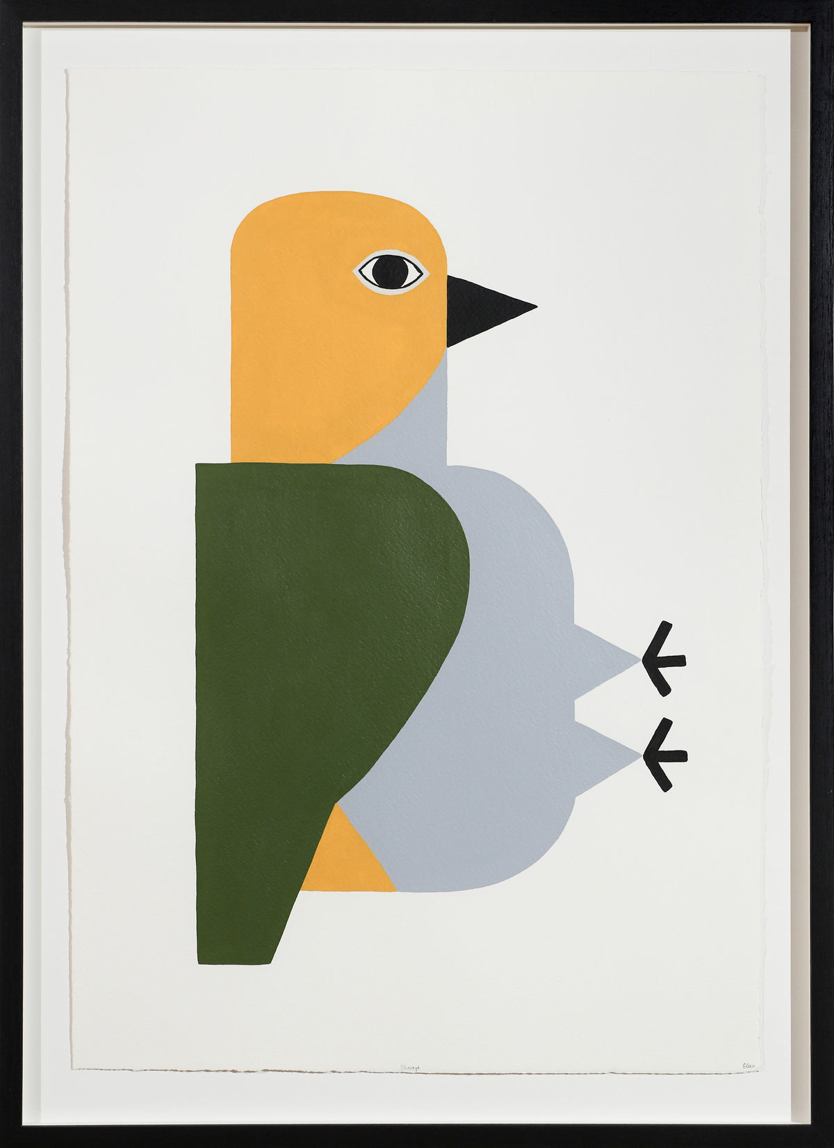 Edan Azzopardi | Silvereye