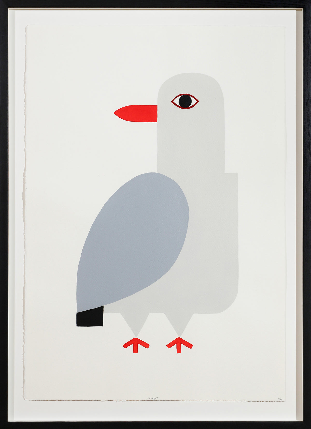 Edan Azzopardi | Silver Gull