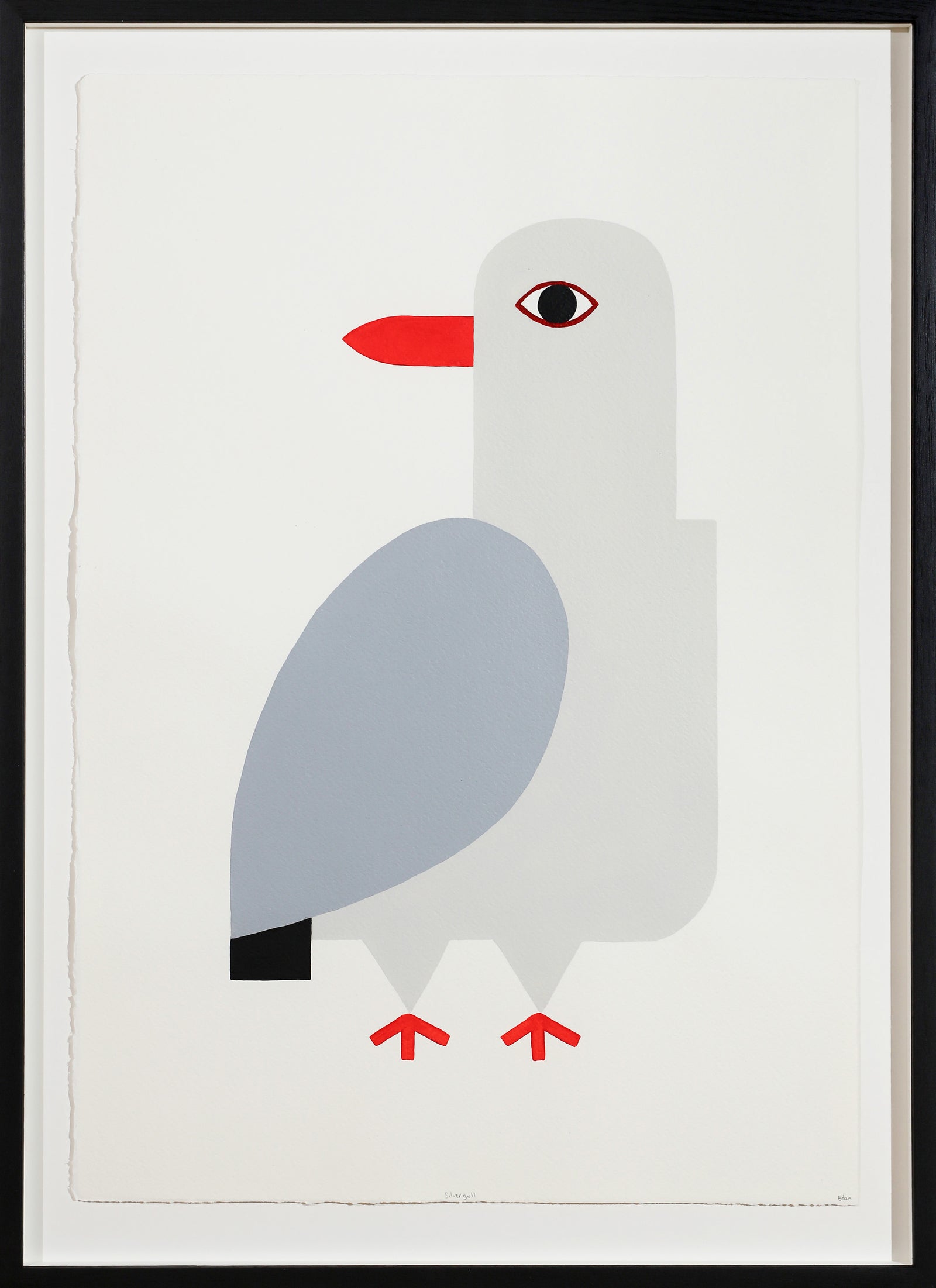Edan Azzopardi | Silver Gull