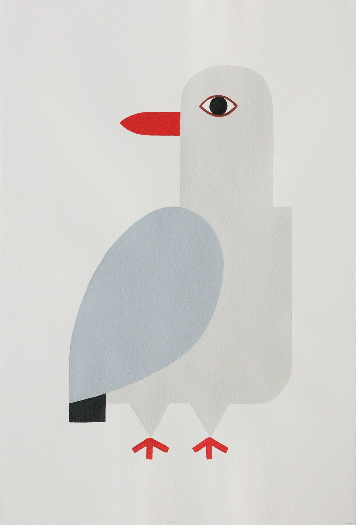 Edan Azzopardi | Silver Gull