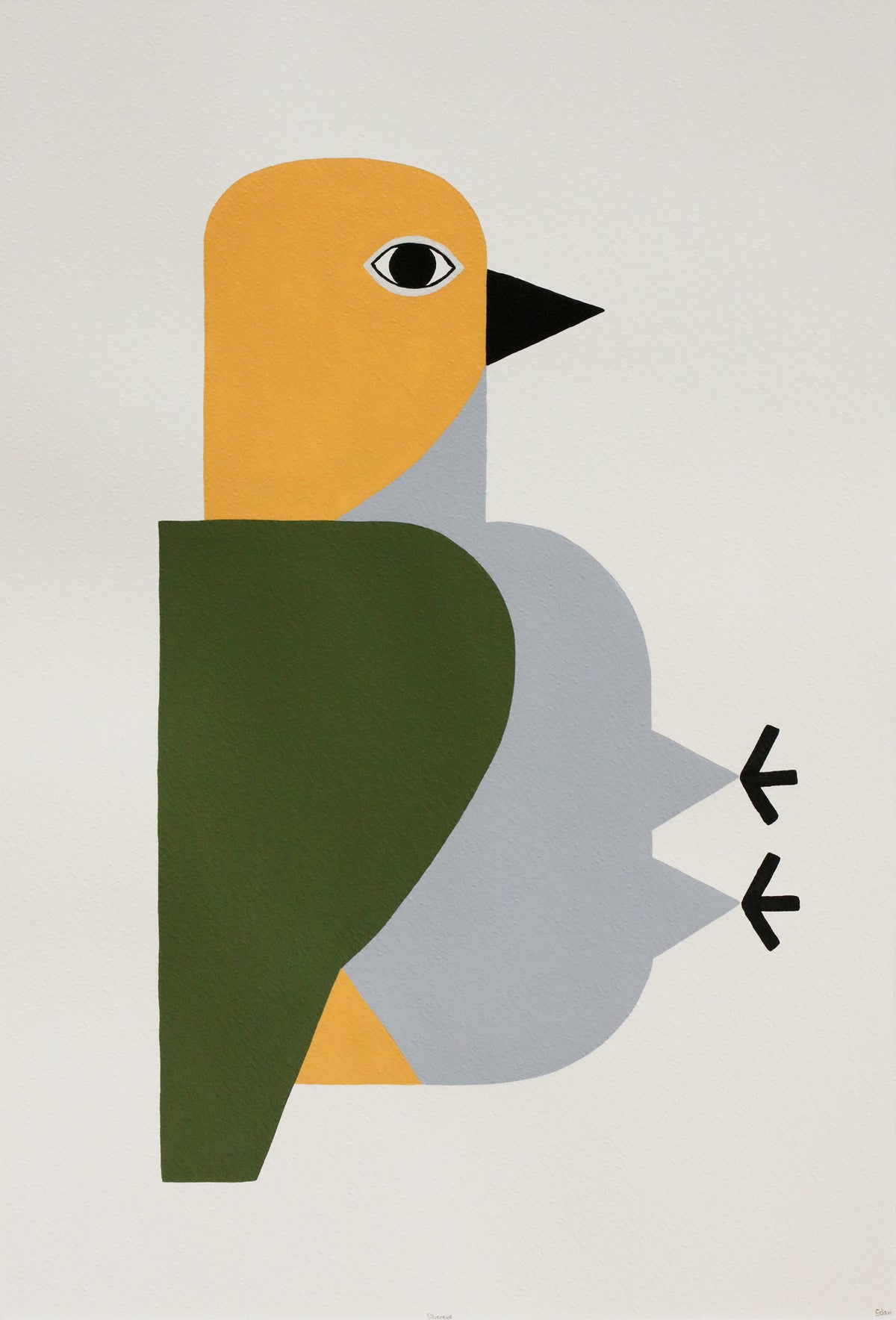 Edan Azzopardi | Silvereye
