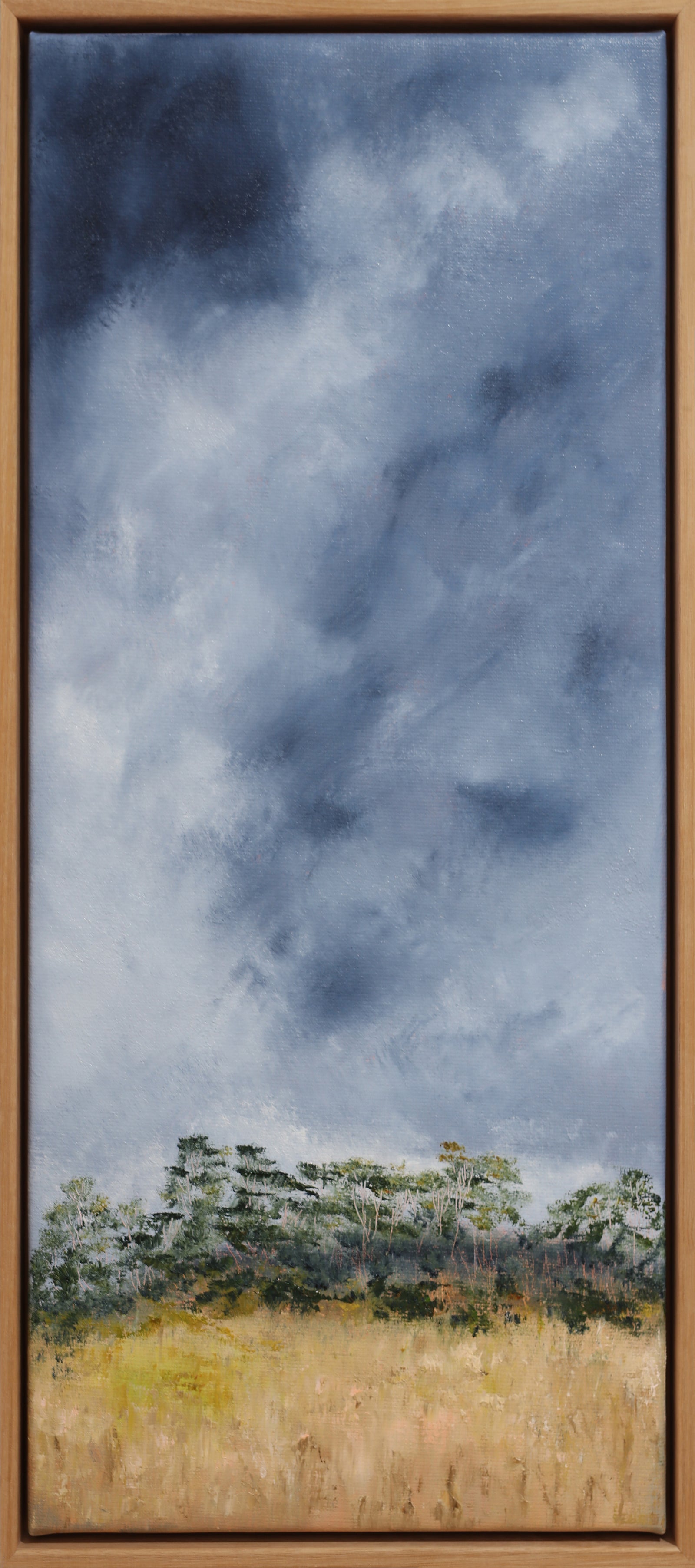 Allison Taplin | Splendour