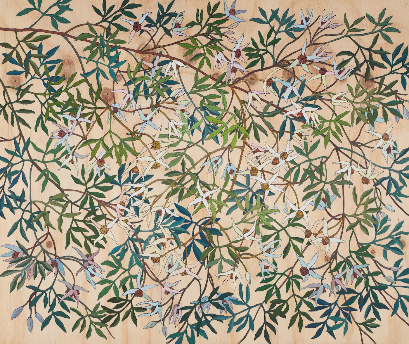 Irina Nazarova | Small-leaved Clematis