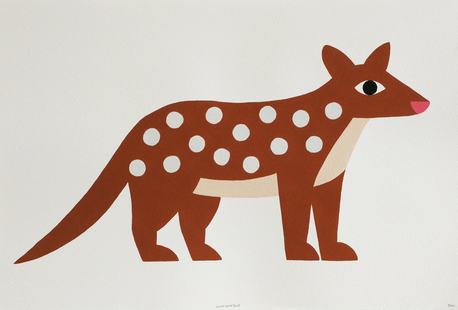Edan Azzopardi | Spotted tail quoll