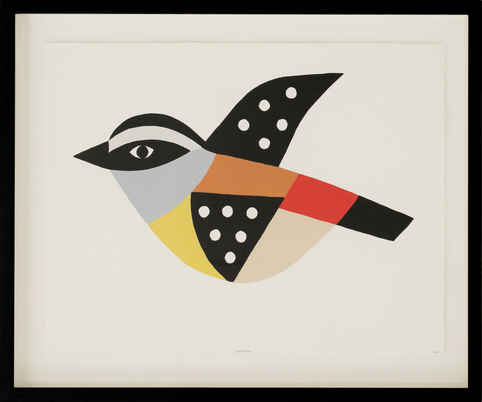 Edan Azzopardi | Flying Spotted Pardalote