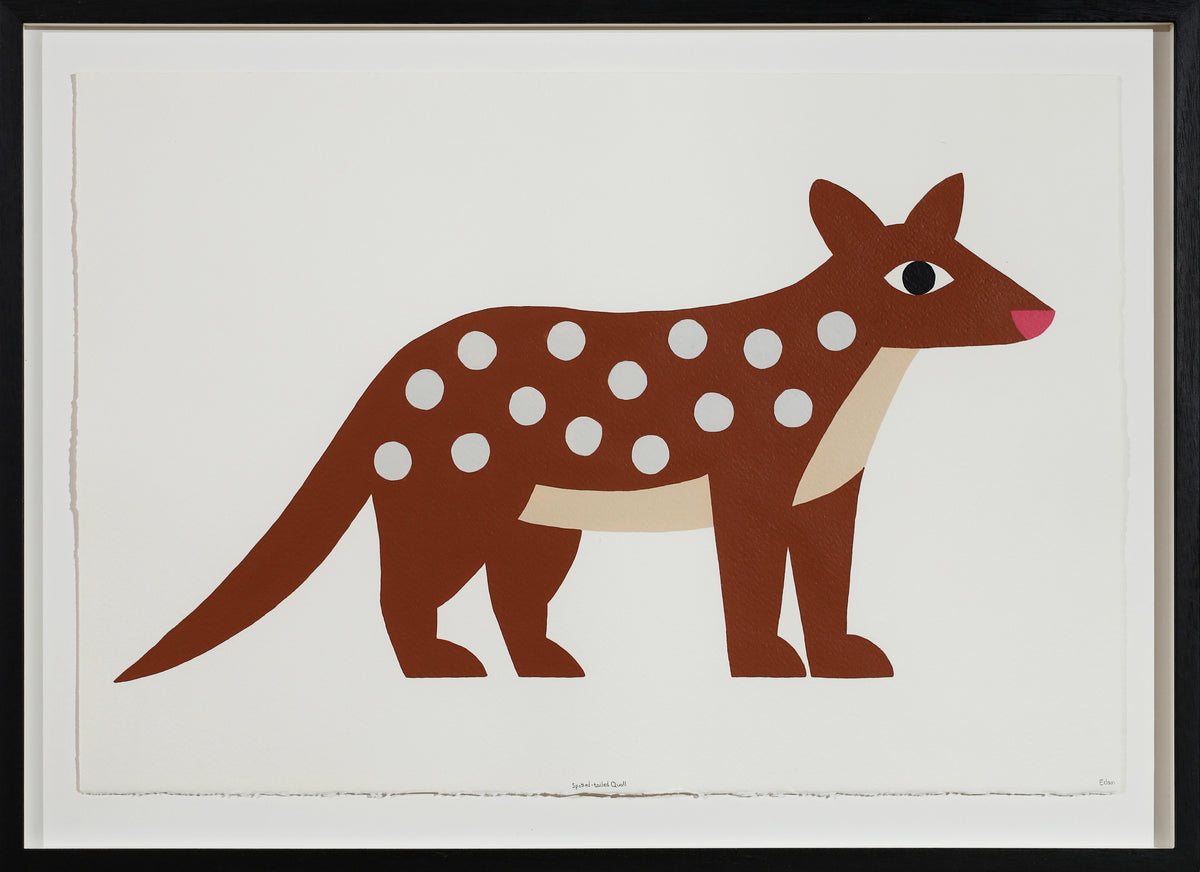 Edan Azzopardi | Spotted tail quoll