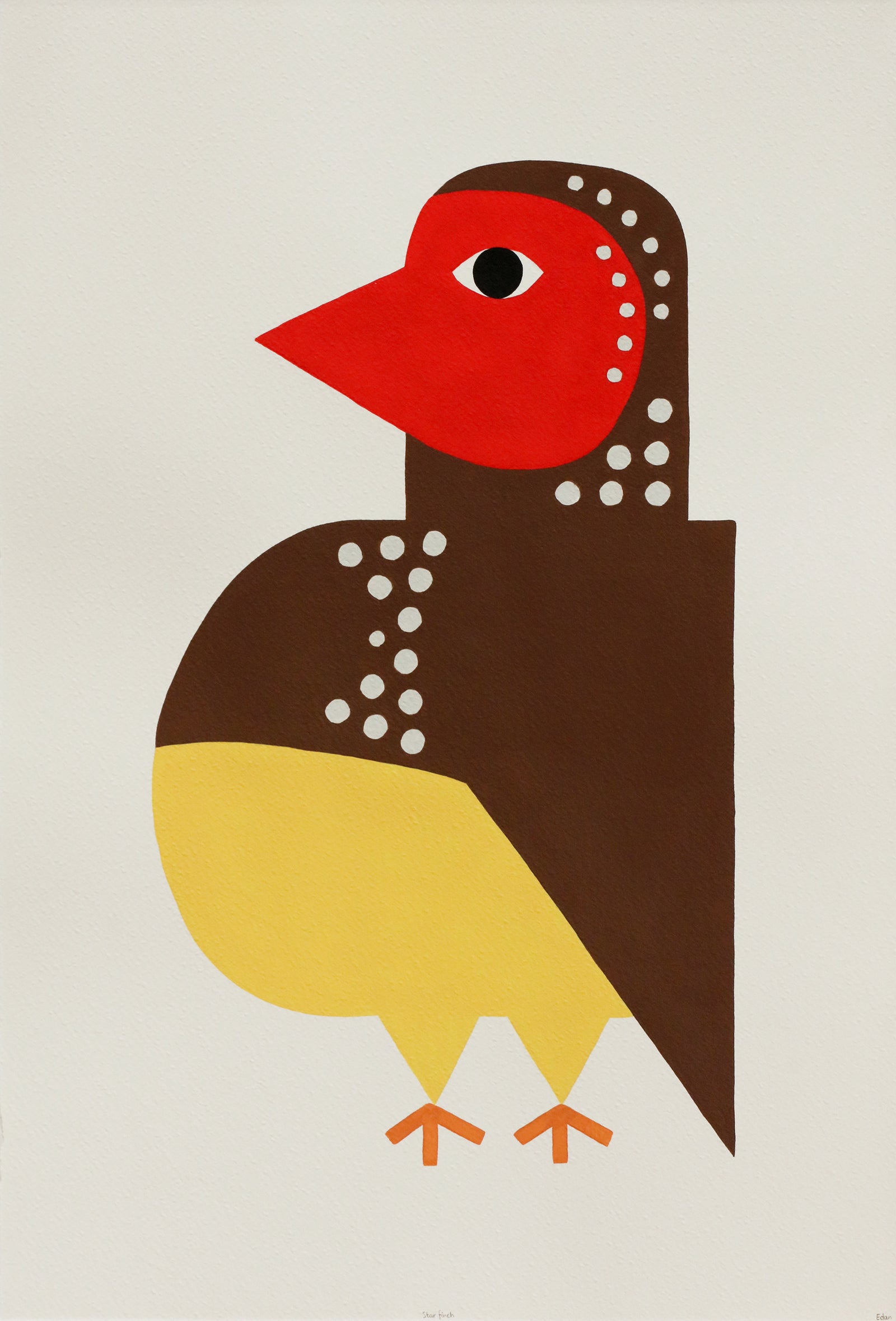 Edan Azzopardi | Star finch