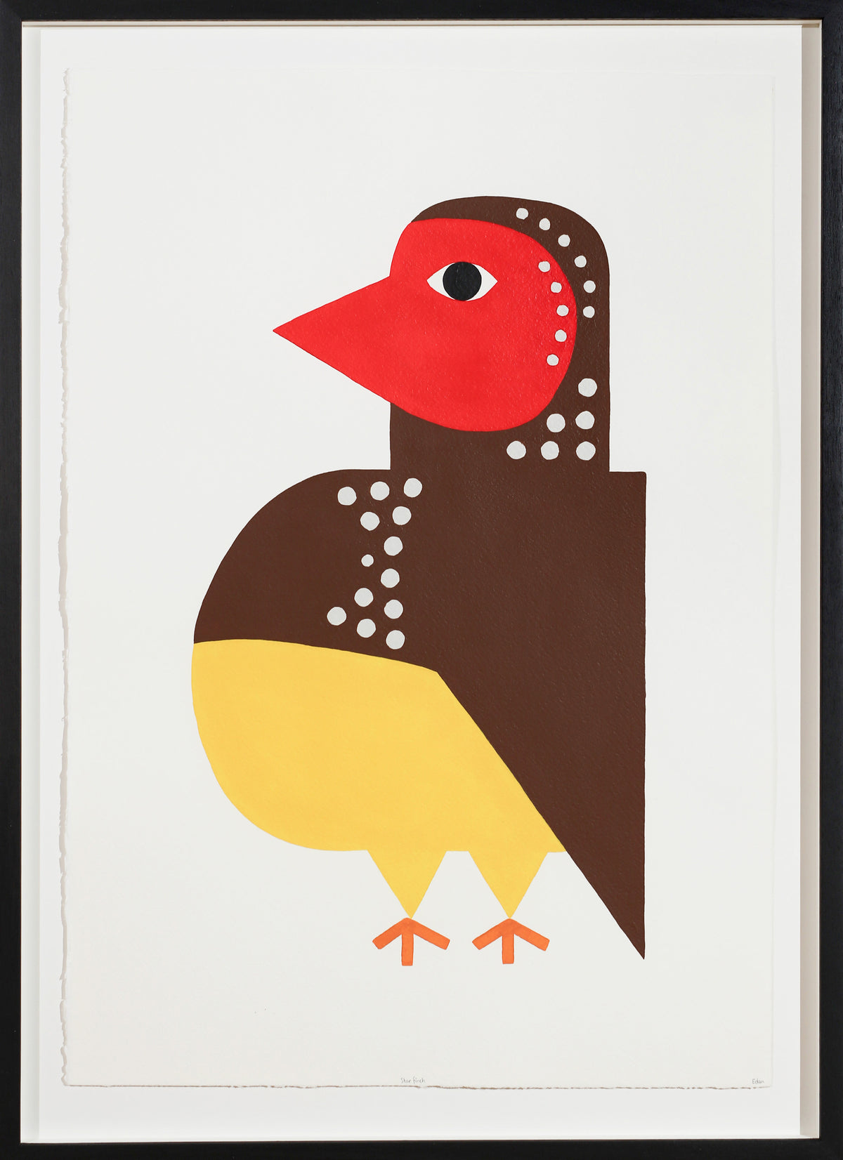 Edan Azzopardi | Star finch
